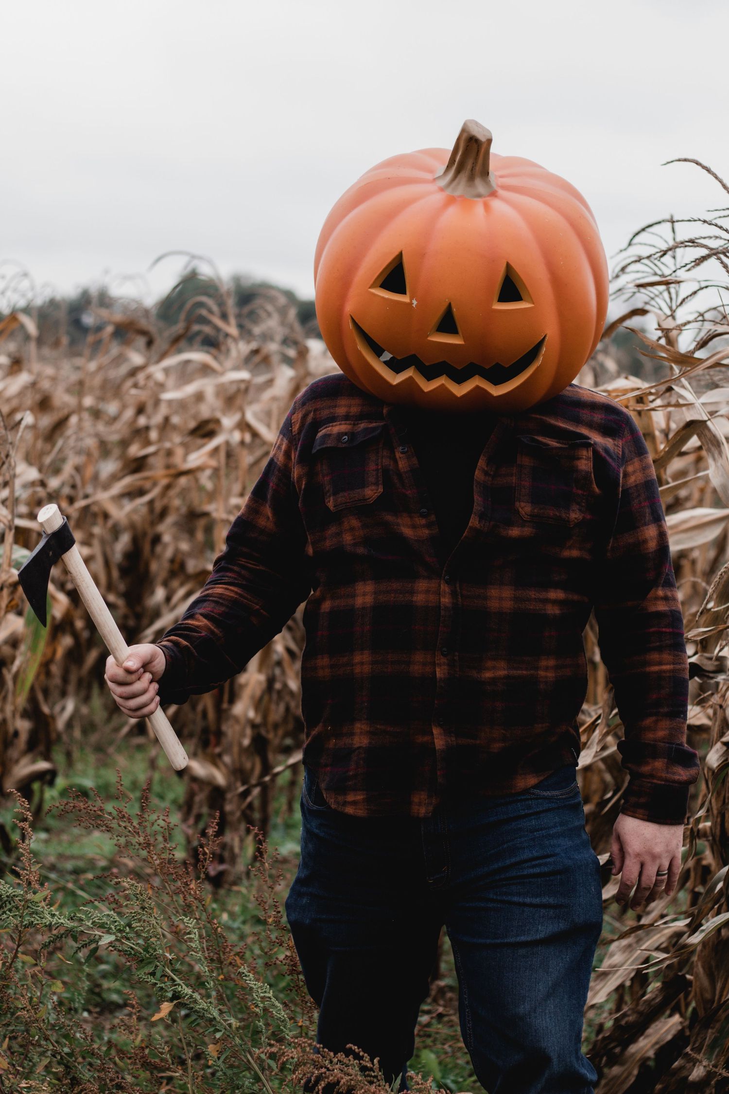 People wearing plaid shirts with pumpkin heads pose in autumn cornfield.
