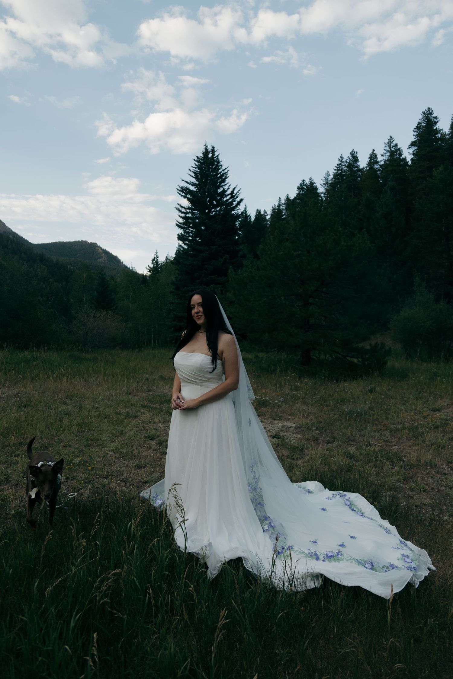 Bride in white floral-embroidered gown with long veil stands in mountain meadow at dusk with dog nearby.