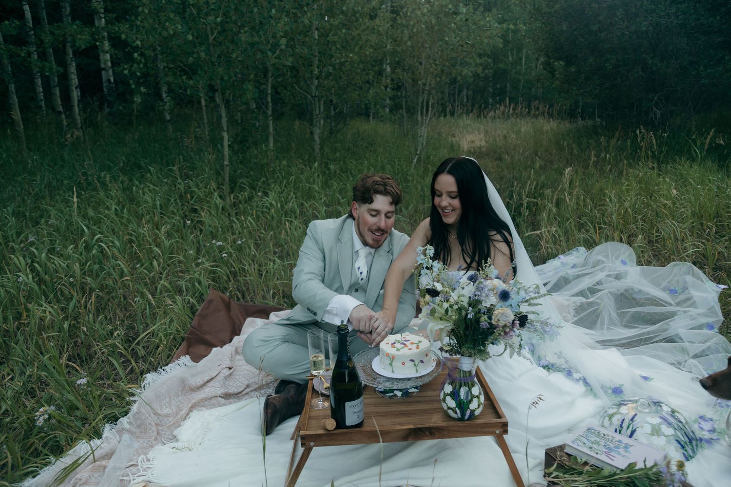 Bride and groom cutting wedding cake on a picnic blanket in a meadow surrounded by tall grass and forest trees.