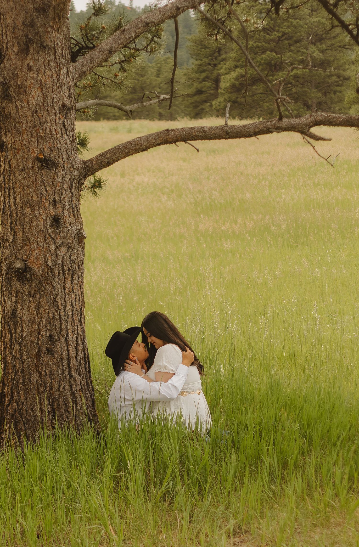 Intimate portrait of a couple sitting close together under a tree branch in golden afternoon light.