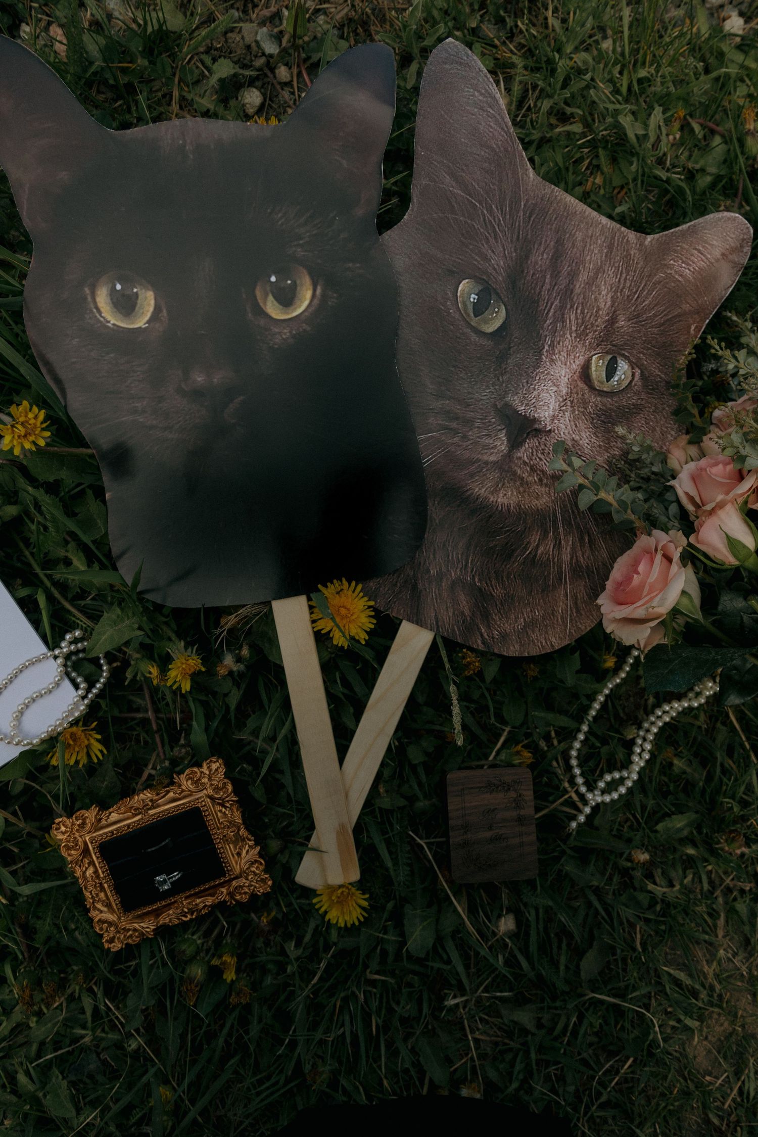 Two cat face signs on sticks with wedding rings, pearl necklace, and pink roses arranged on grass.