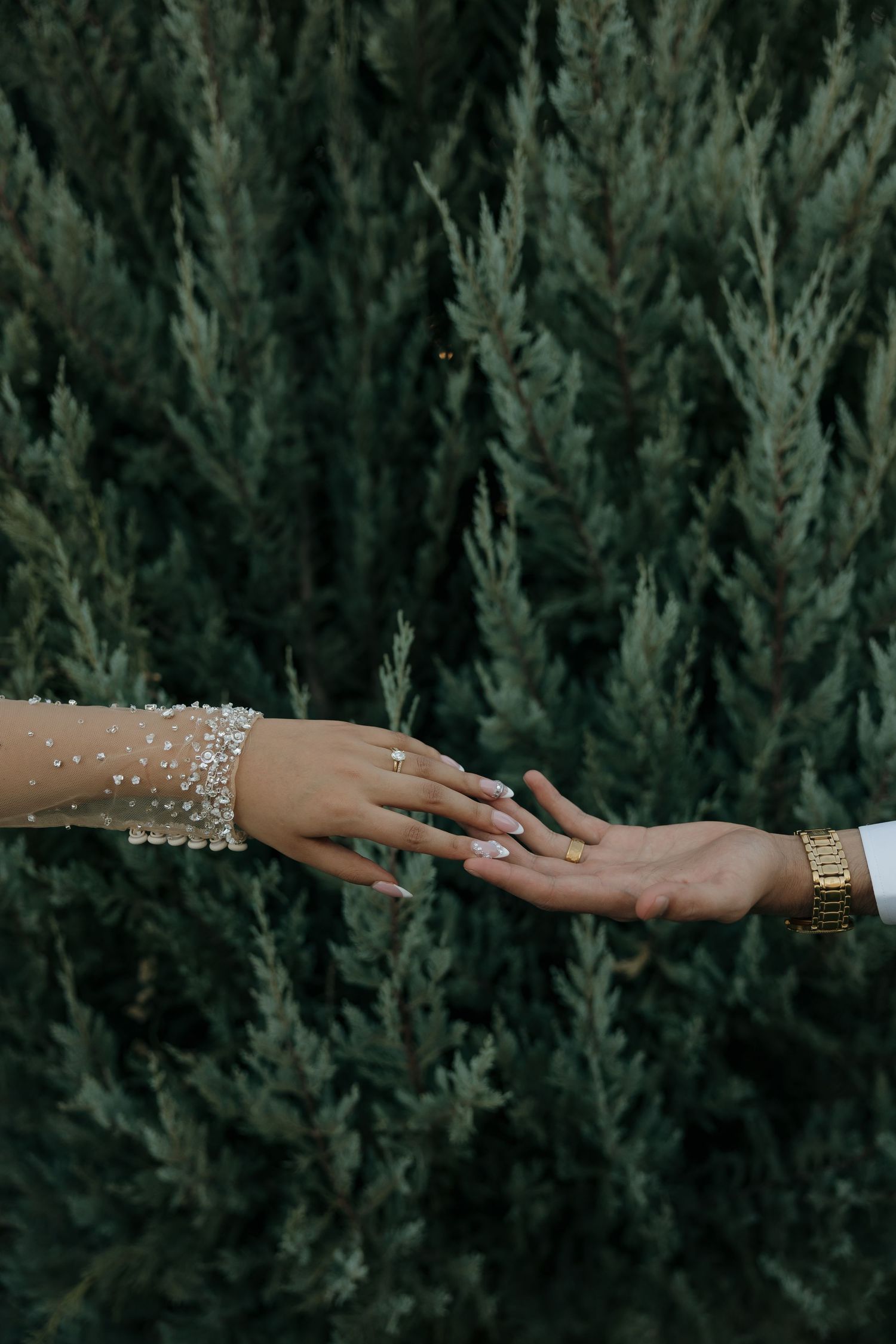 Bride and groom touching hands showing wedding rings against lush green cypress trees.