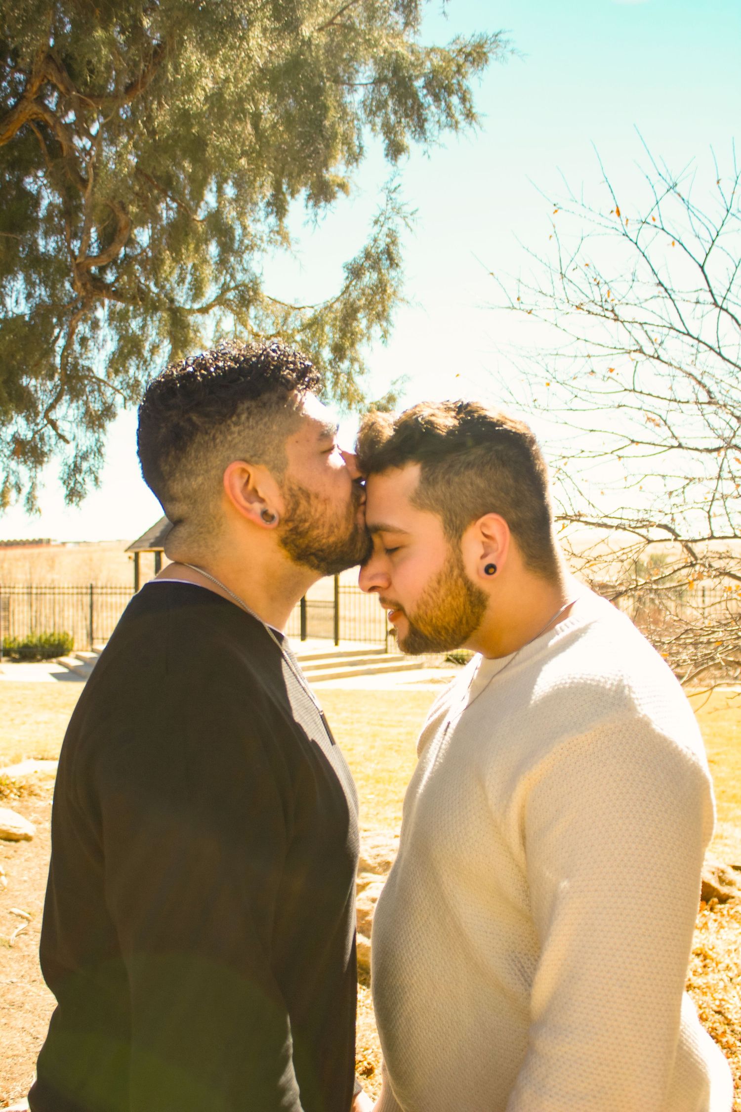 A romantic moment captured between two people in warm sunlight.