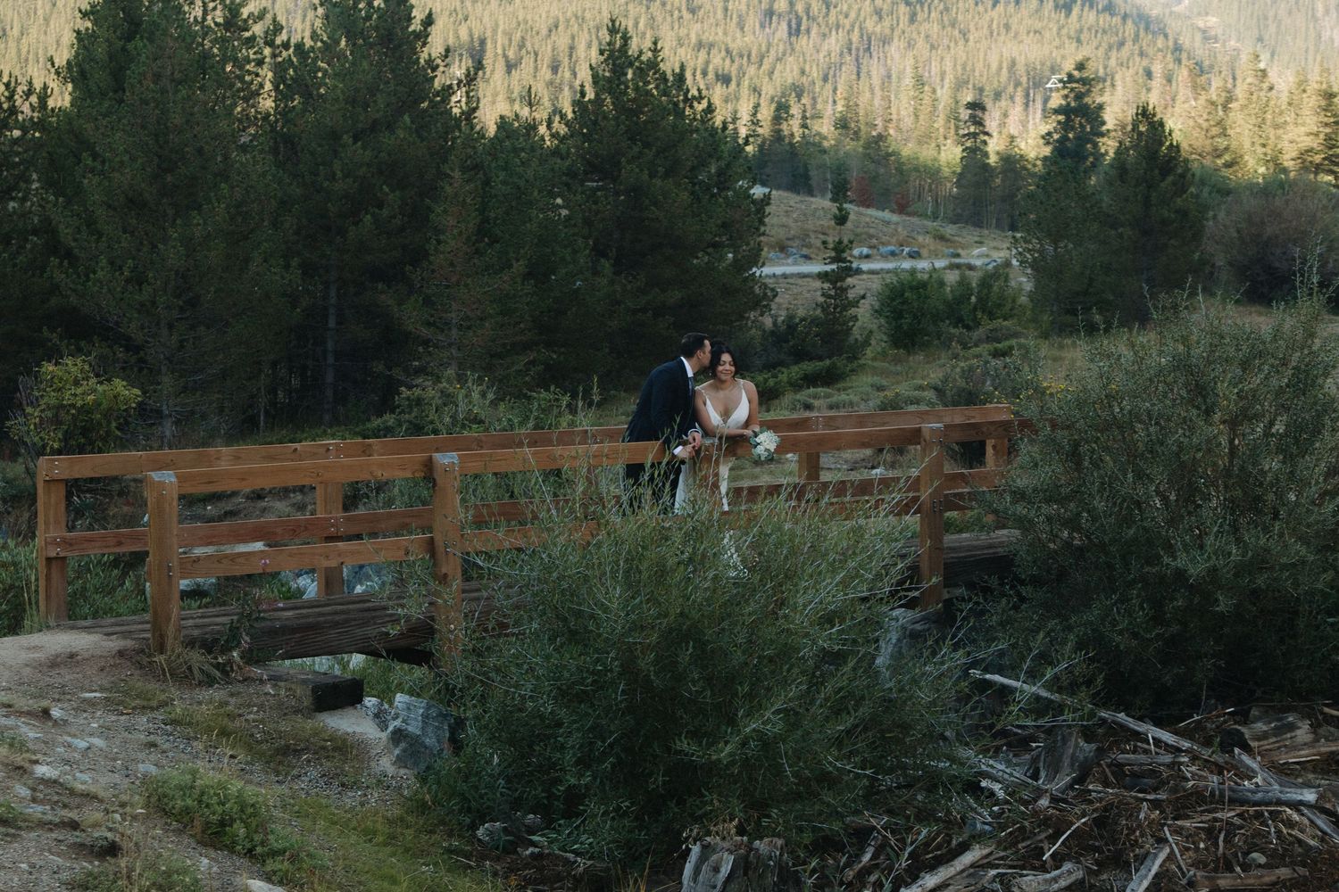 A scenic mountain landscape with evergreen trees and wooden railings along a path at dusk.