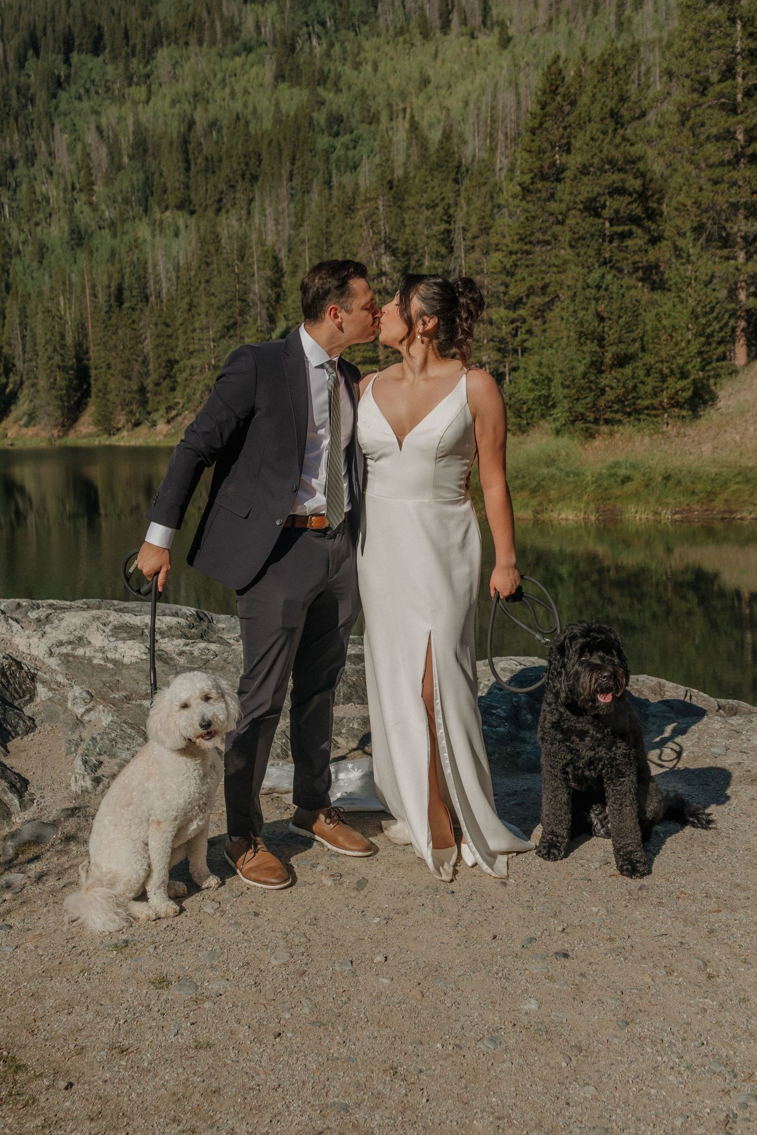 Wedding couple with two dogs posing on rocky shore with mountain lake backdrop.