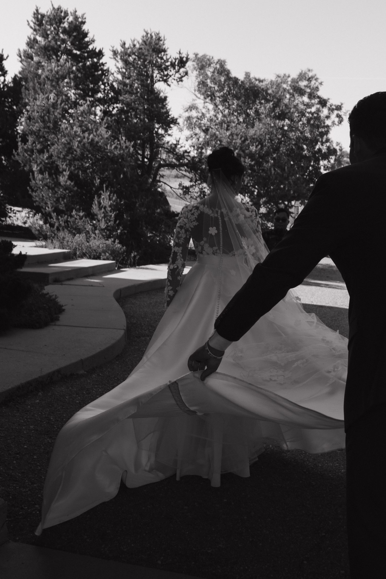 Black and white photo of flowing white fabric being held up against trees in silhouette.