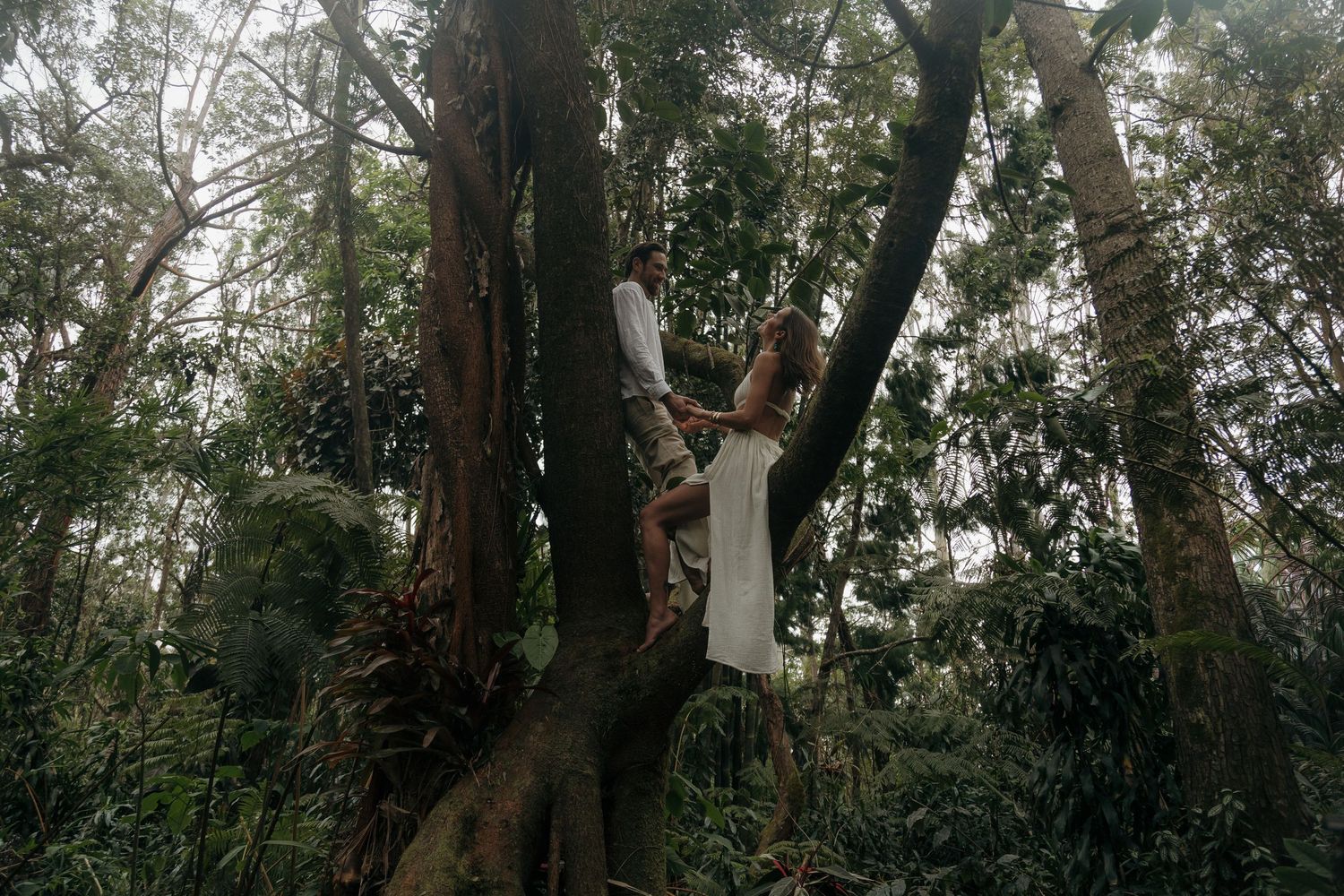 A figure in a white dress stands among tall trees in a mystical forest setting.