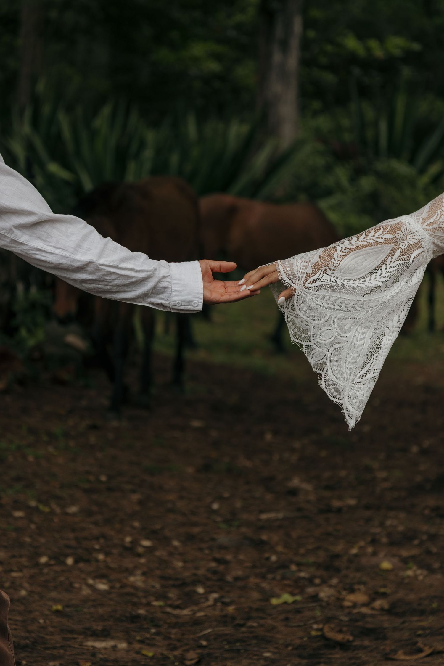 Bride and groom holding hands in lace wedding dress outdoors with green tropical foliage background.