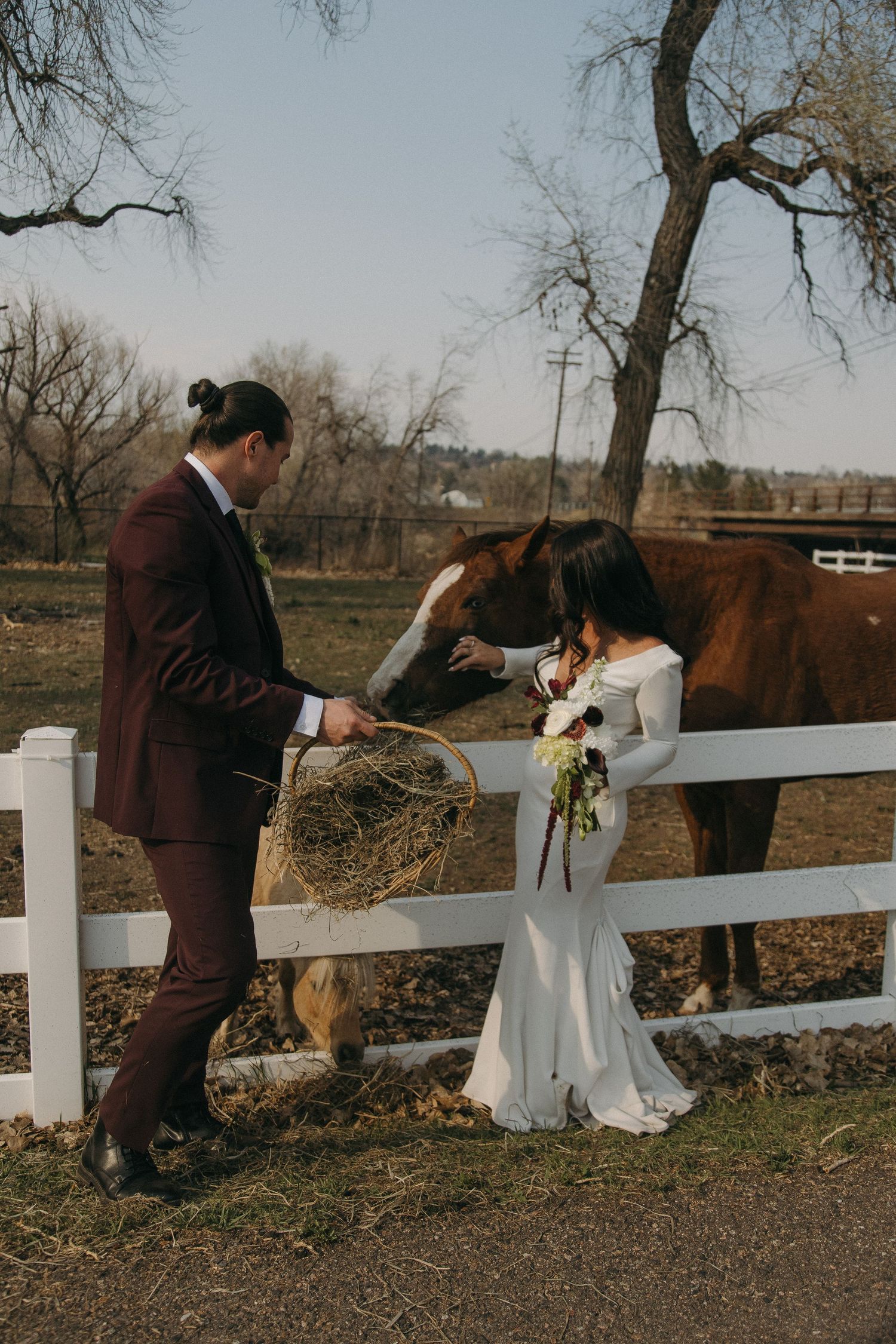 Bride and groom in wedding attire feeding a brown horse at white fence on farm.