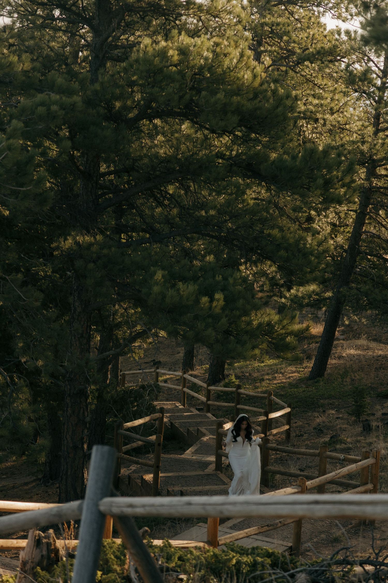 Bride in white wedding gown walks down wooden staircase surrounded by lush pine forest at golden hour.