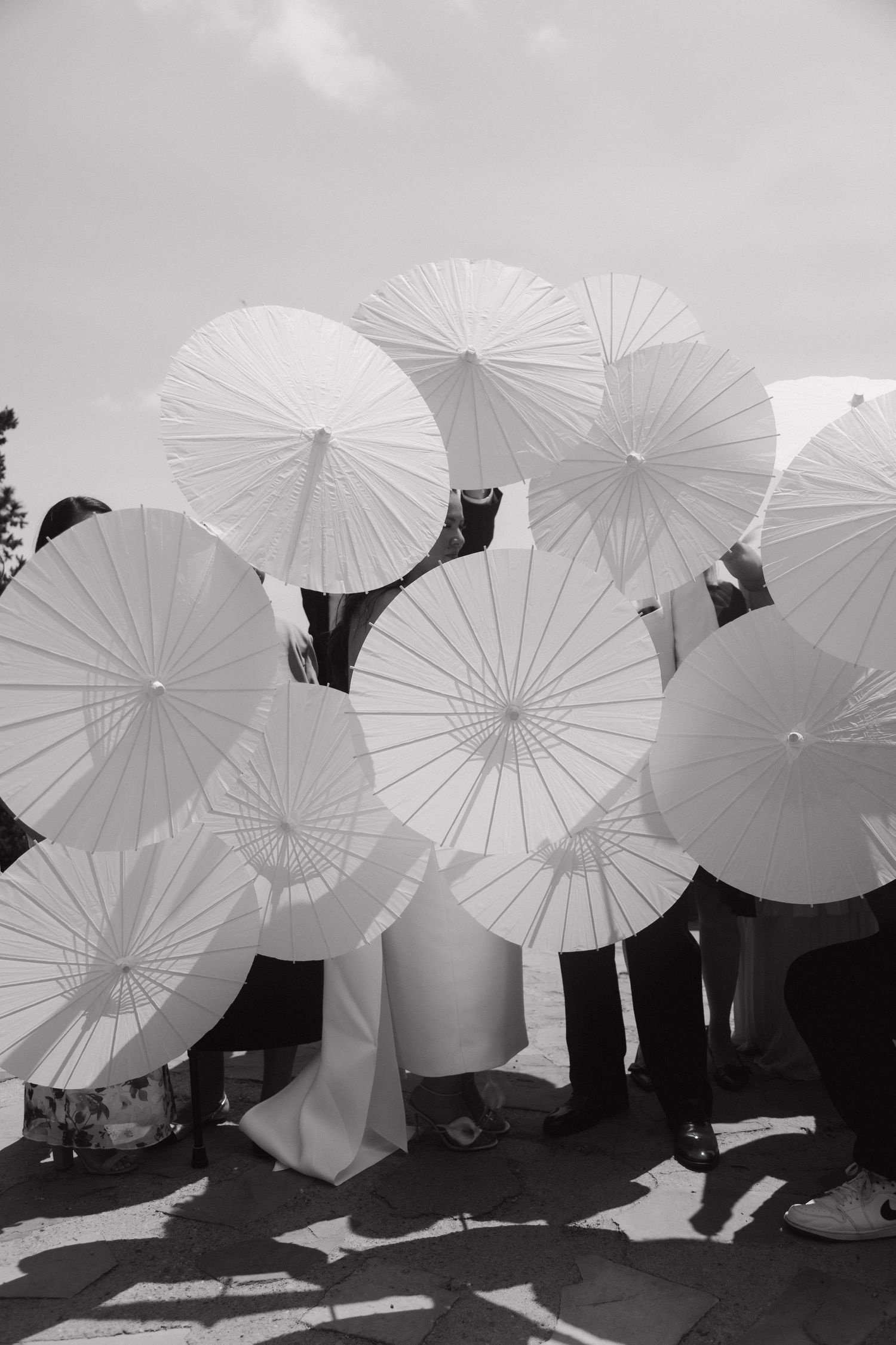 Black and white image of wedding guests holding white paper parasols outdoors at a sunny ceremony.