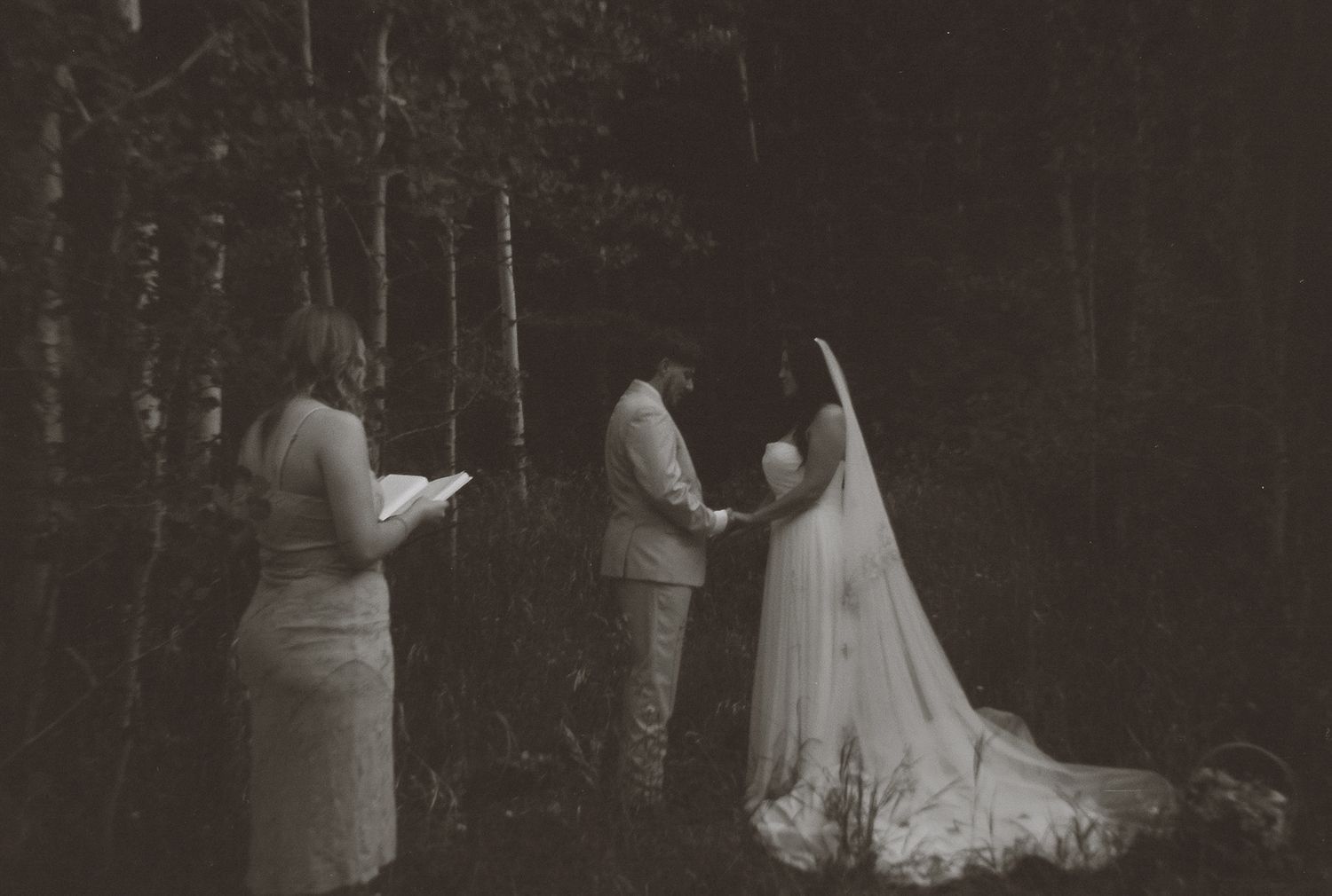 Black and white photo of an intimate outdoor wedding ceremony in a birch forest with an officiant reading vows.