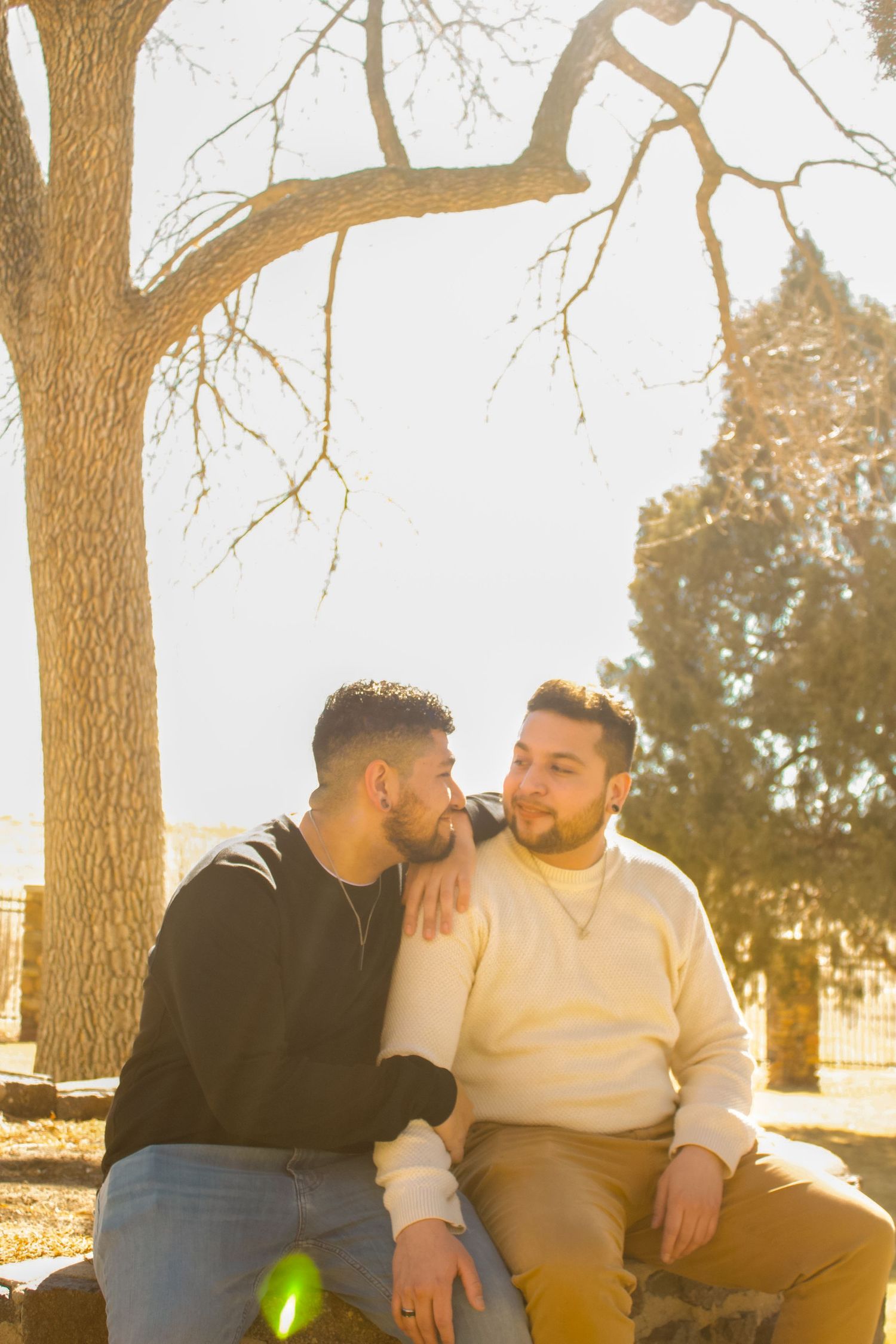 A romantic couple sitting together under a large tree on a sunny afternoon.