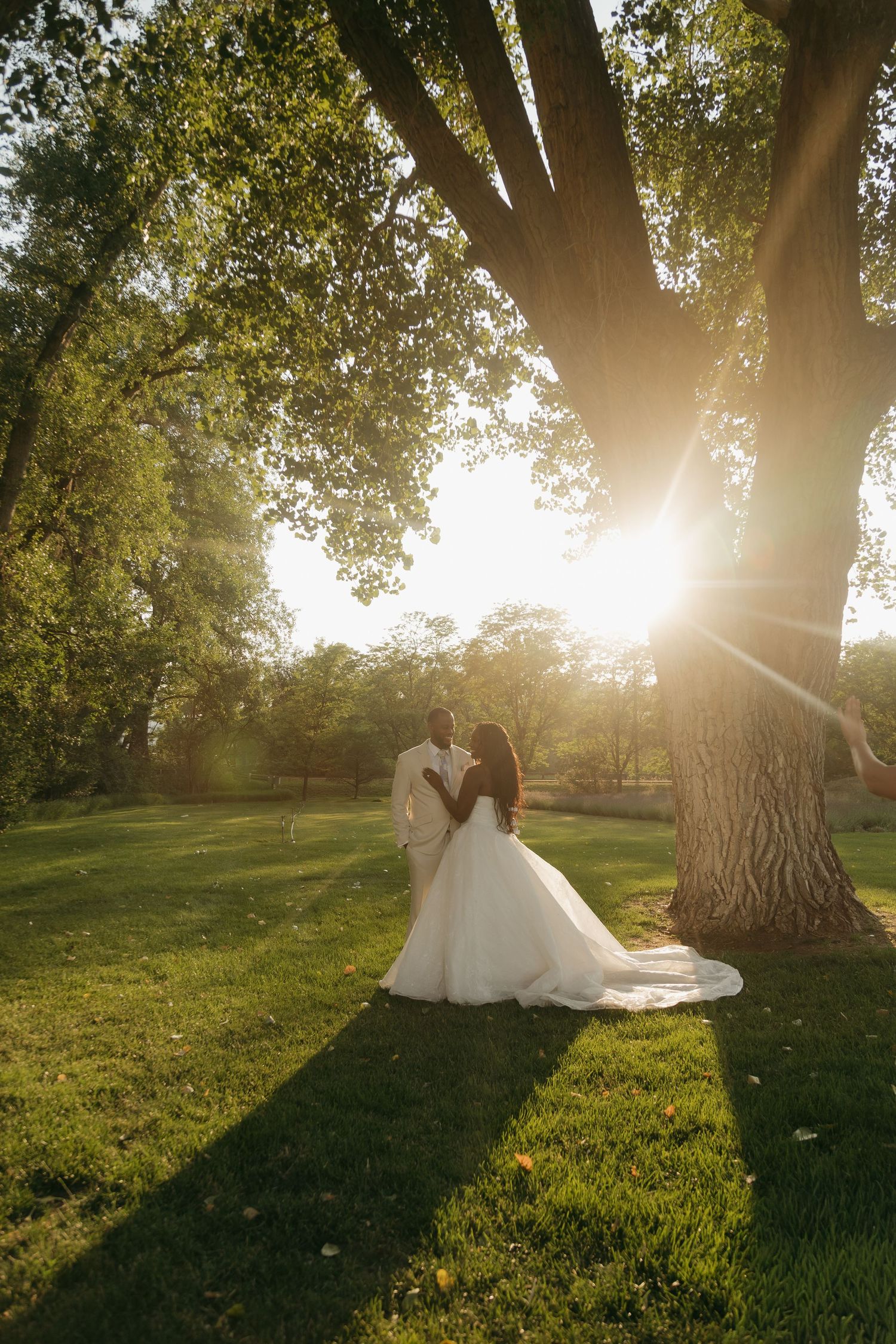 Bride and groom embrace under a large tree with golden sunlight streaming through, surrounded by lush green grass.