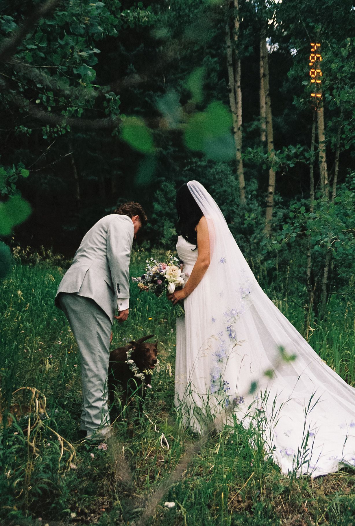 Bride and groom examine wildflowers together in lush forest with floral cathedral veil trailing.