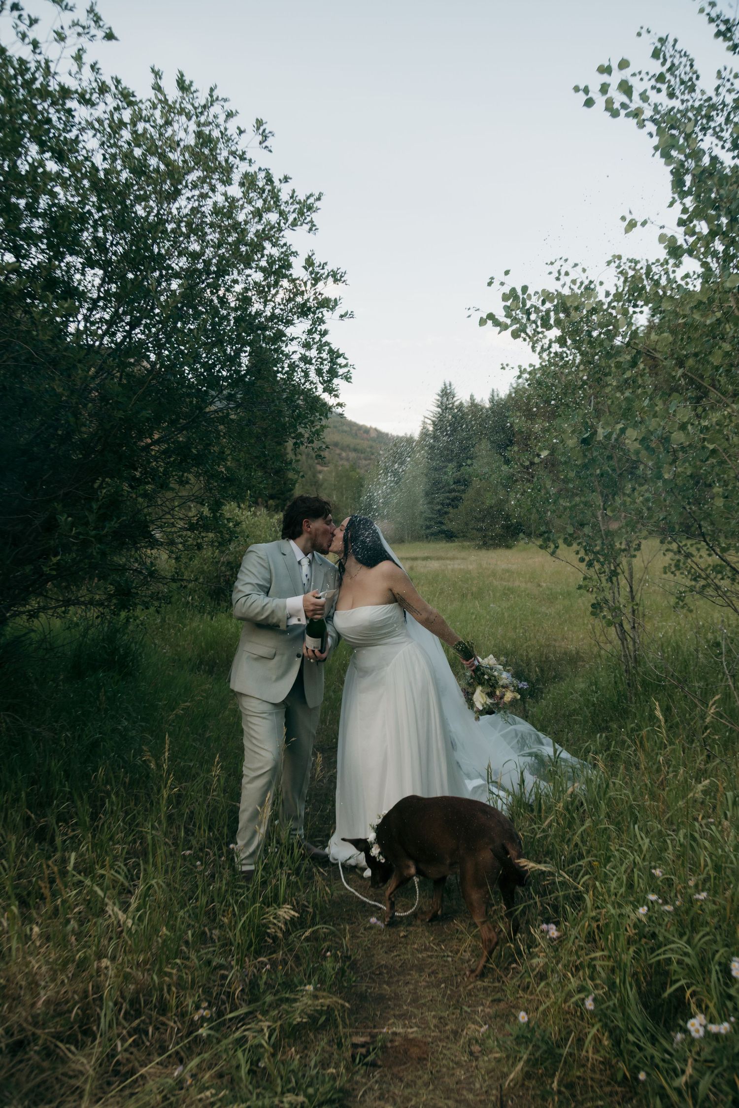 Bride and groom share a kiss in a lush forest clearing with their brown dog beside them during an outdoor elopement.