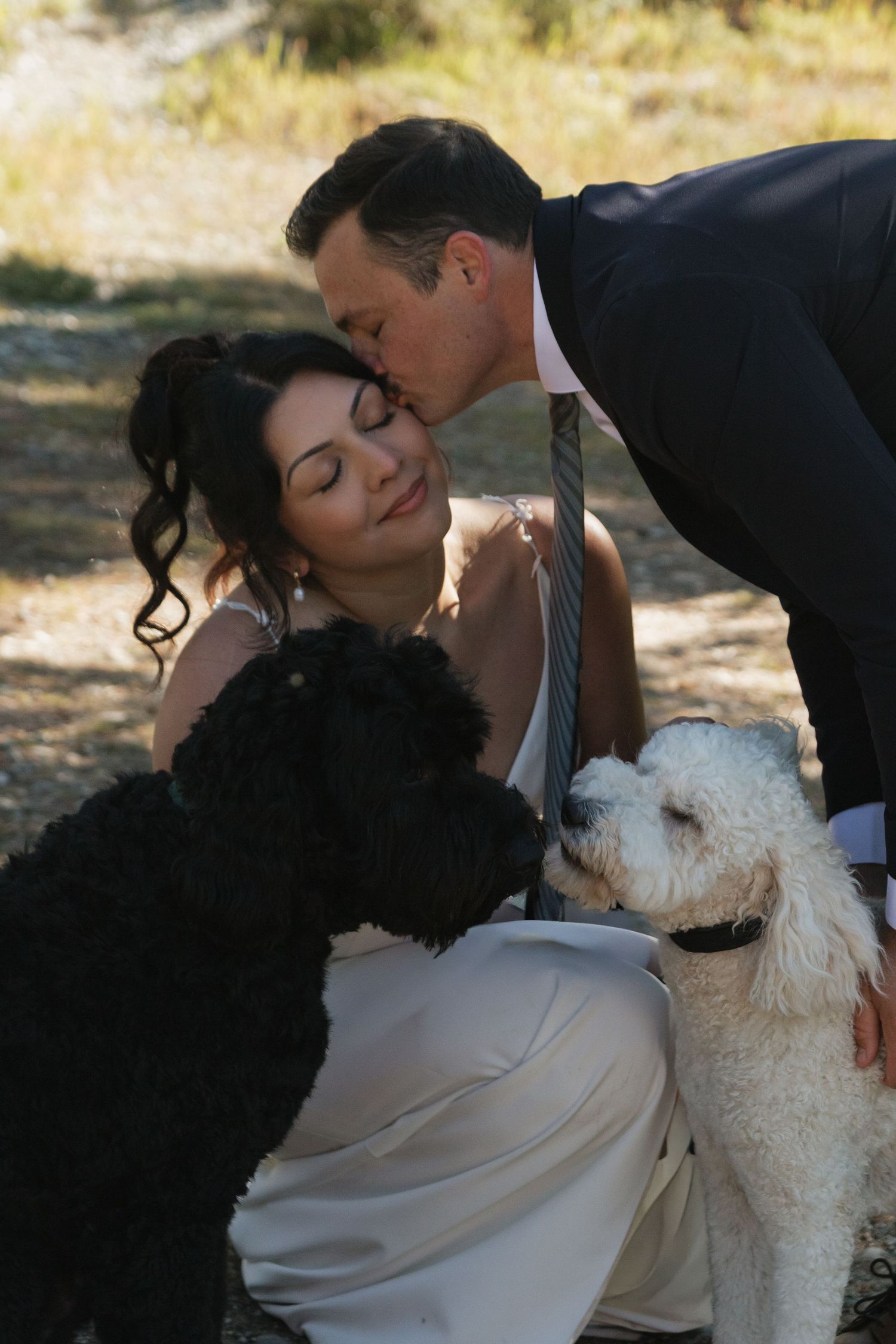 A newlywed couple shares kisses with their two fluffy dogs during an outdoor photoshoot.