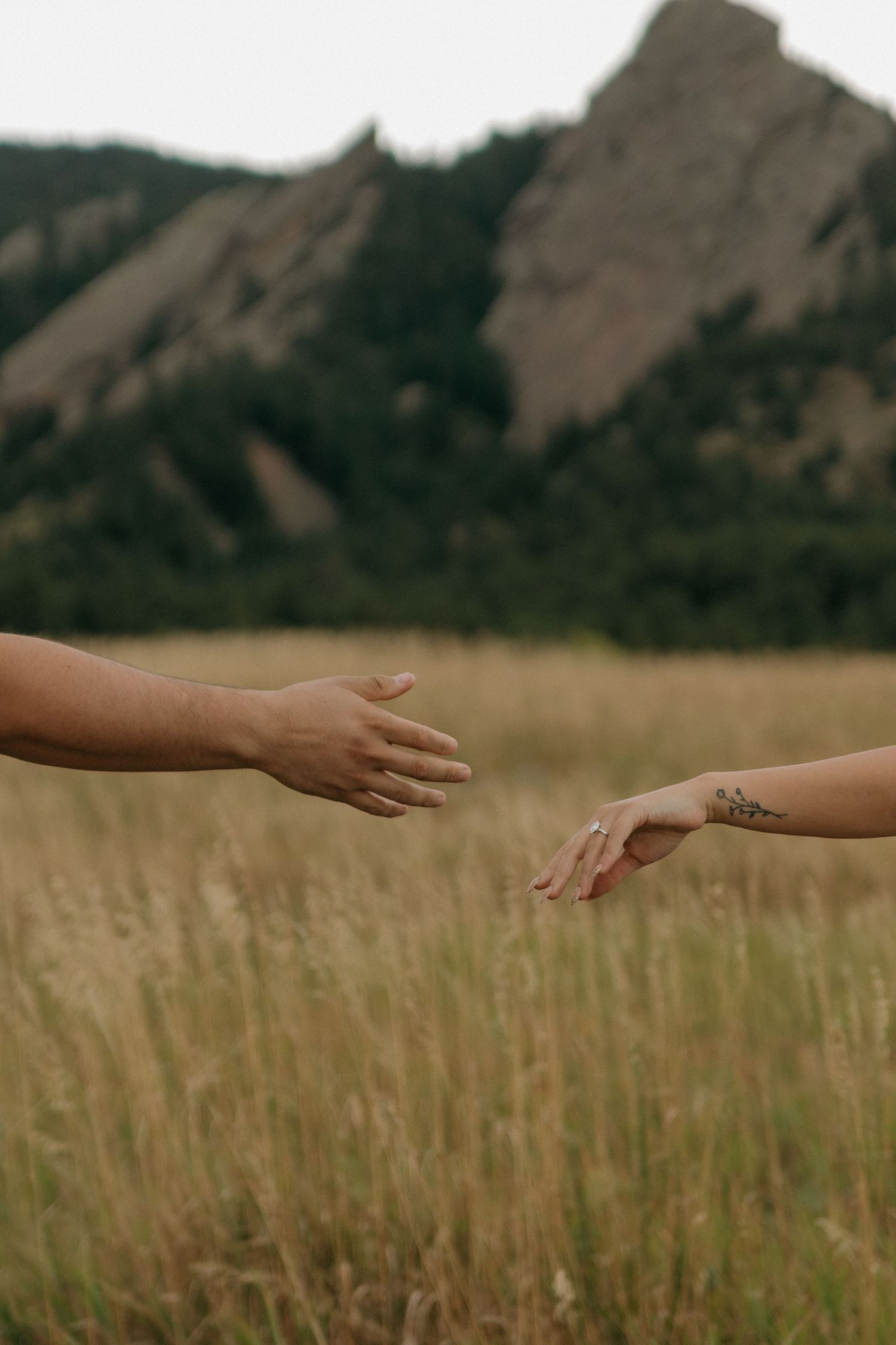 Two hands reaching toward each other in a golden grass field with rocky mountain flatirons behind.