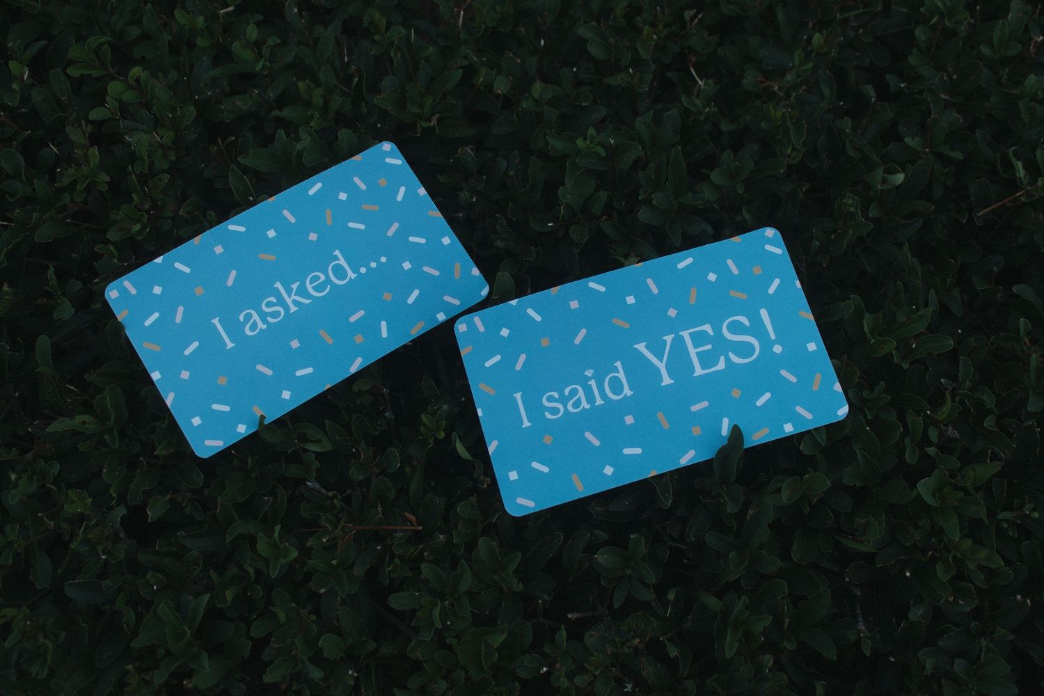 Two light blue cards with confetti pattern design reading 'I asked' and 'I said YES' on a dark green grass background.