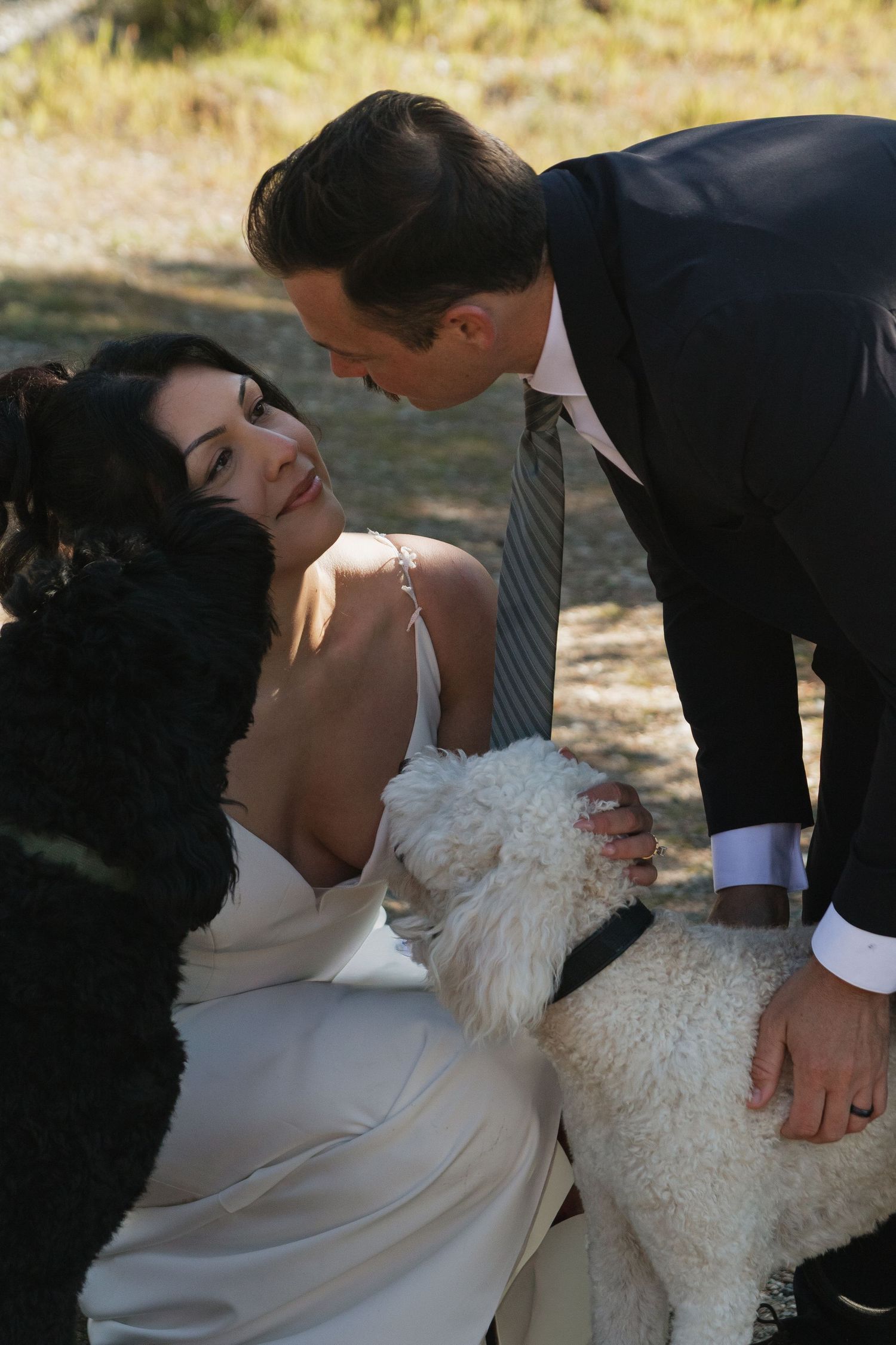 A joyful wedding moment with playful dogs joining the couple for photos outdoors.