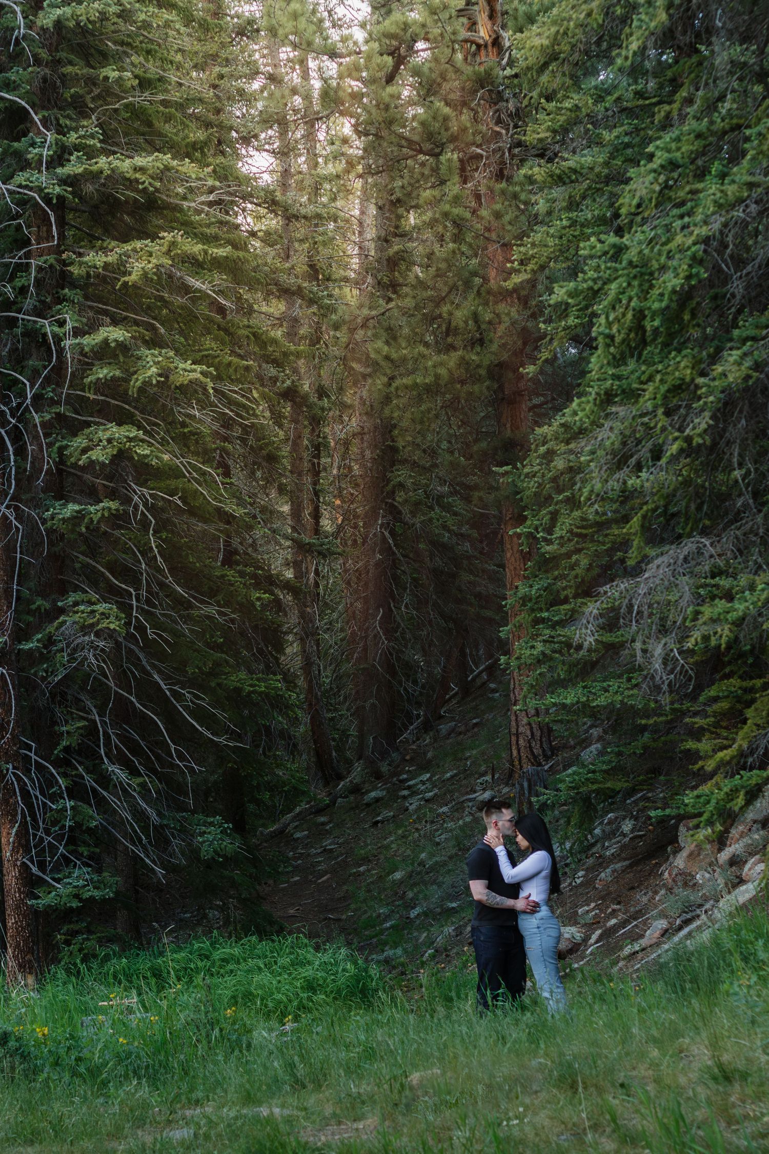 A couple embraces in a dramatic forest setting with tall evergreen trees towering above.
