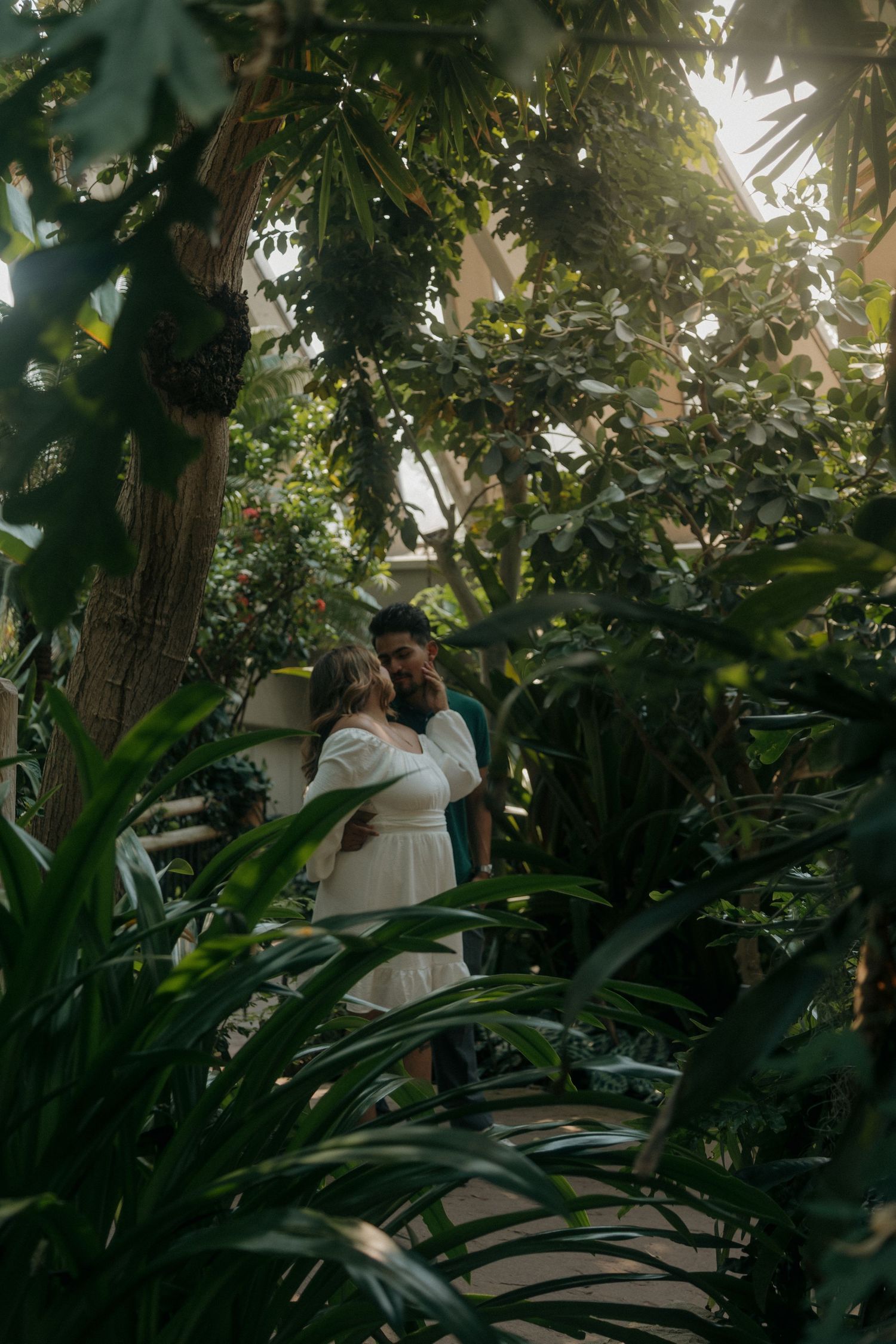 Couple embracing tenderly among tropical plants inside a sunlit botanical greenhouse.