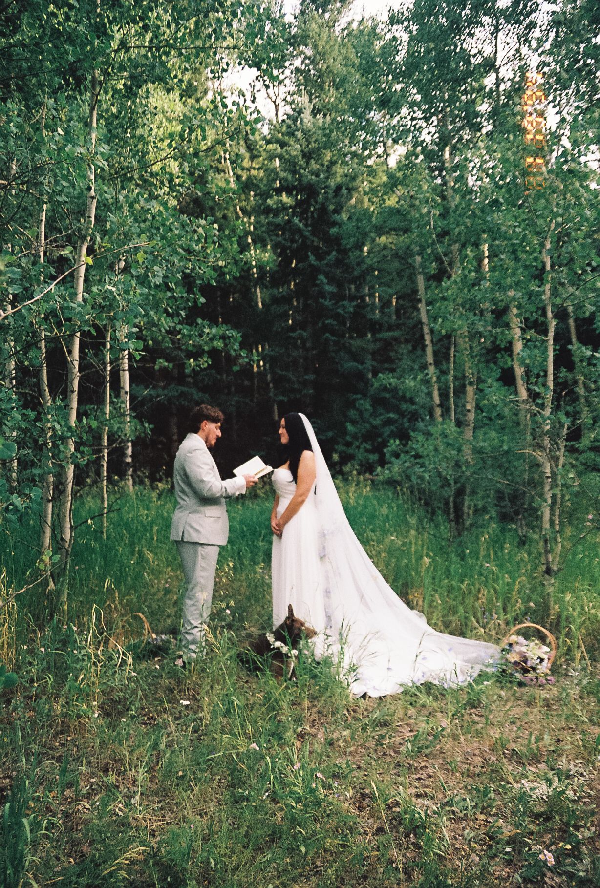 Bride and groom exchanging vows in a lush aspen forest during an intimate outdoor wedding ceremony.