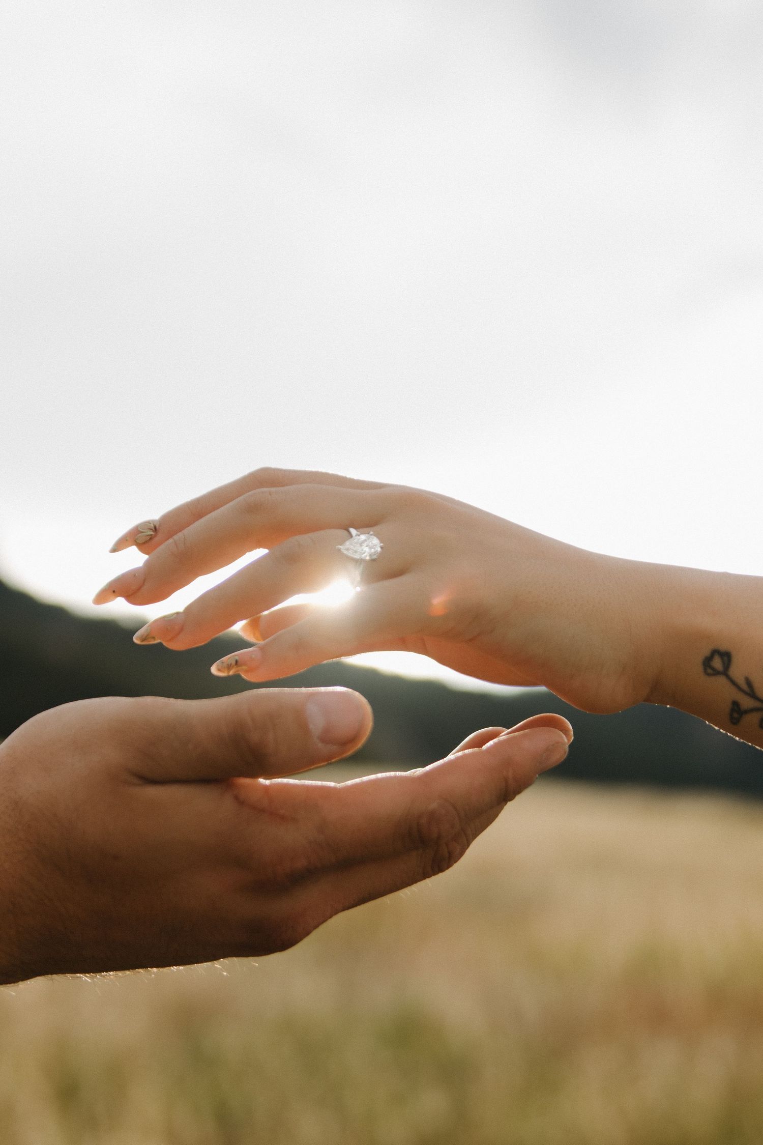 Two hands reaching towards each other with sunlight glowing between them in a romantic outdoor setting.