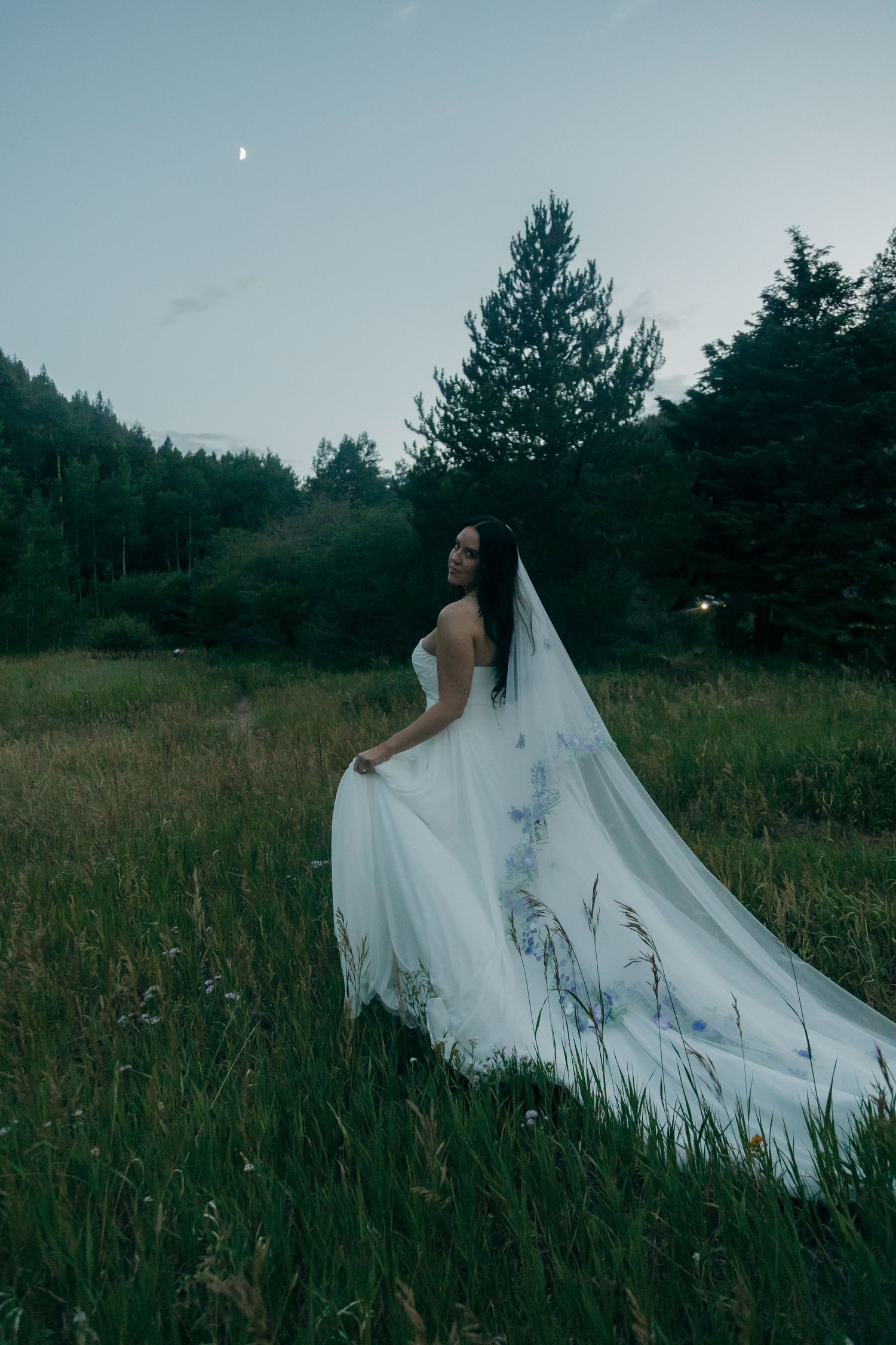 Bride in floral wedding gown with long veil standing in meadow at dusk with crescent moon.