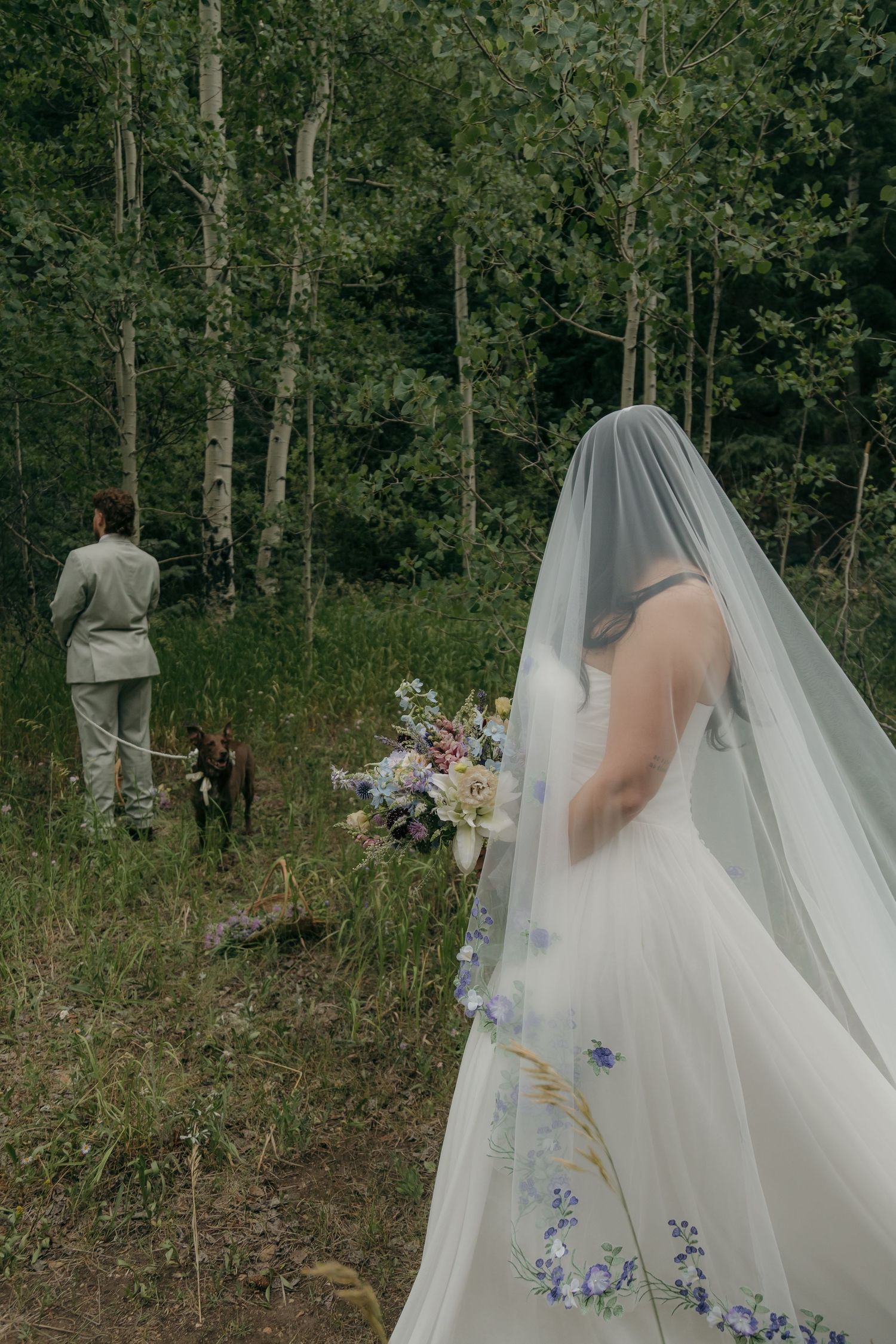 Bride in floral veil holding wildflower bouquet approaches groom with dog in lush aspen forest wedding.