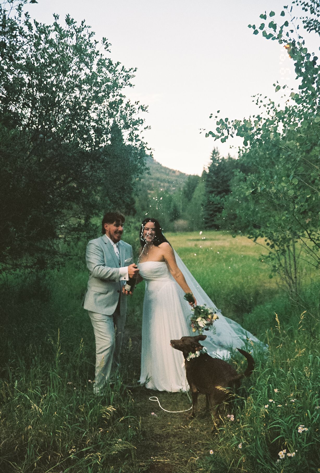 Smiling newlyweds with their dog celebrating outdoors in a lush green forest setting.