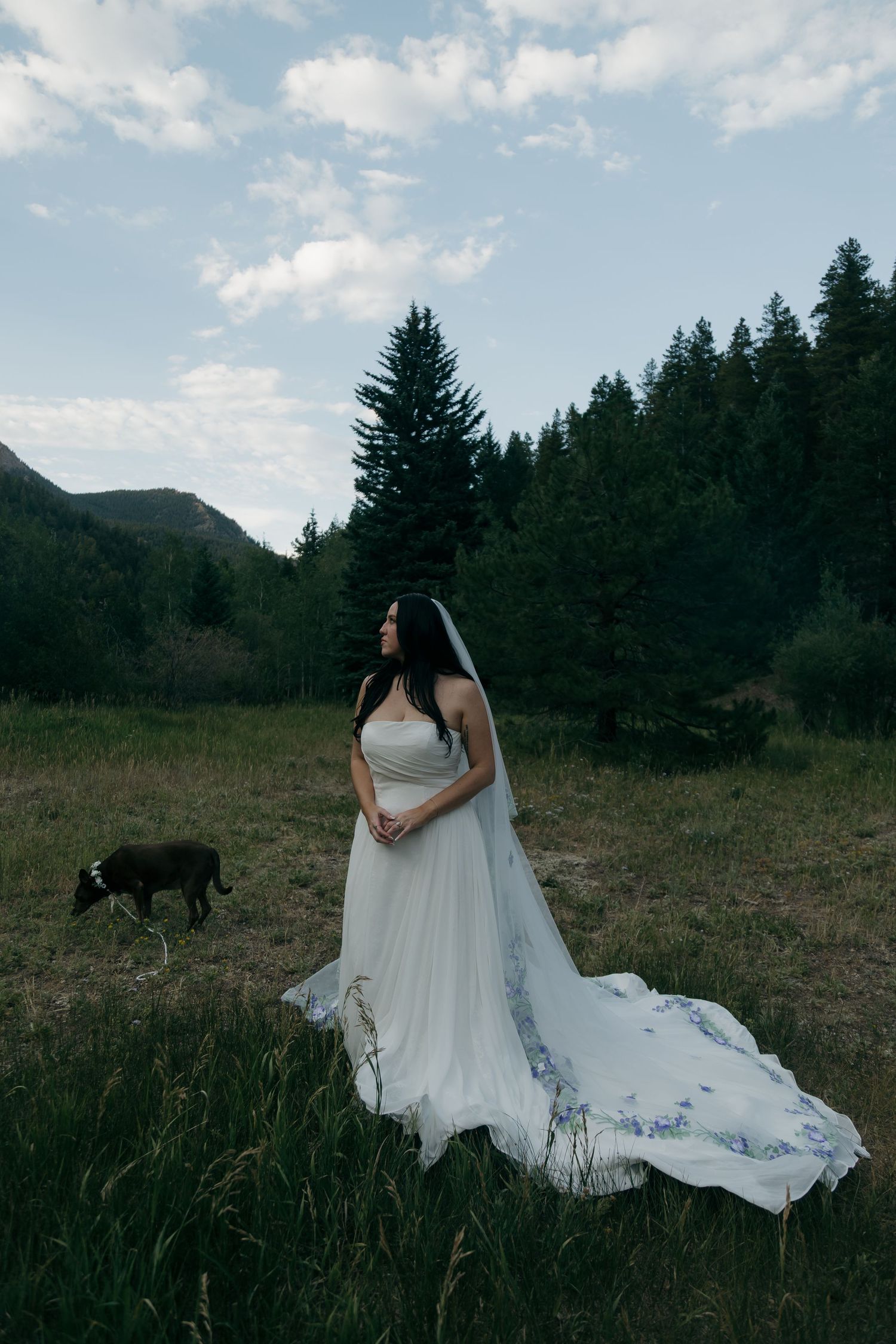 Bride in a white strapless gown with an embroidered cathedral veil stands in a mountain meadow at dusk.