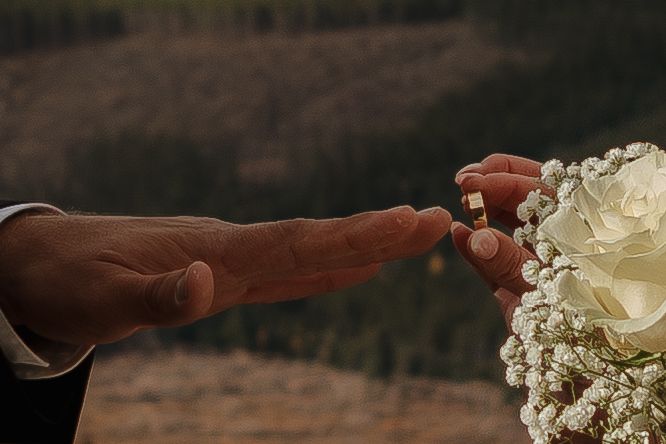 A sequence of hands holding white flowers forms a continuous line against a dark background.