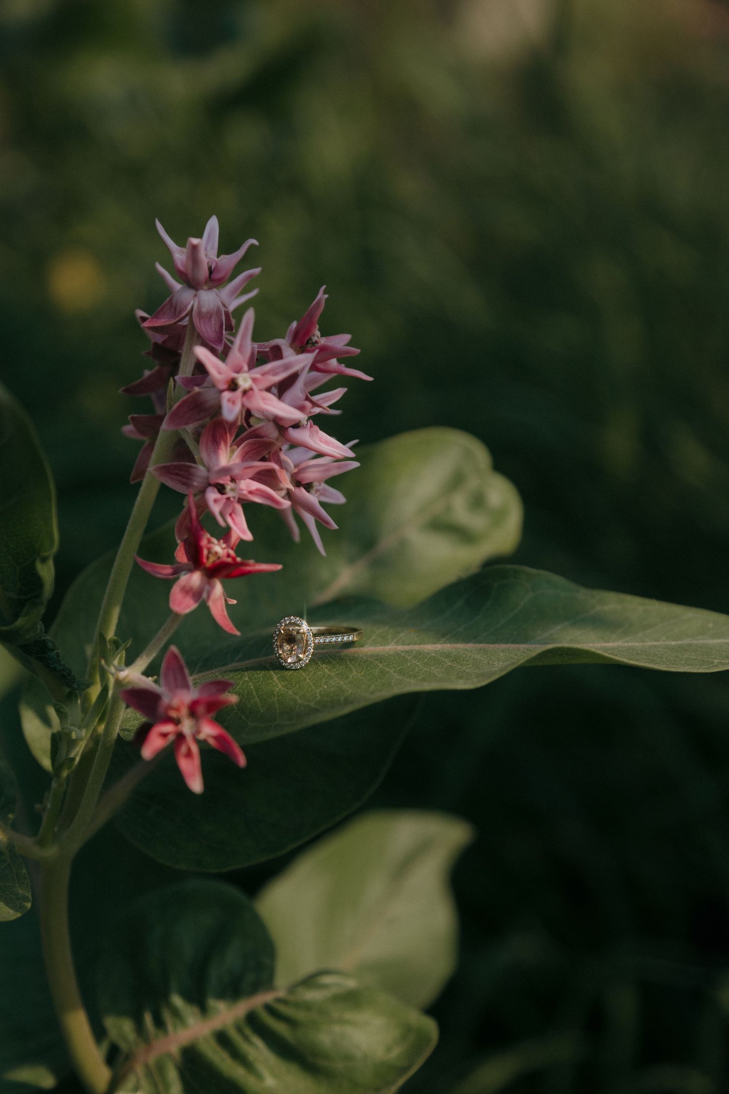 Diamond engagement ring resting on green leaf beside pink wildflowers in natural garden setting.