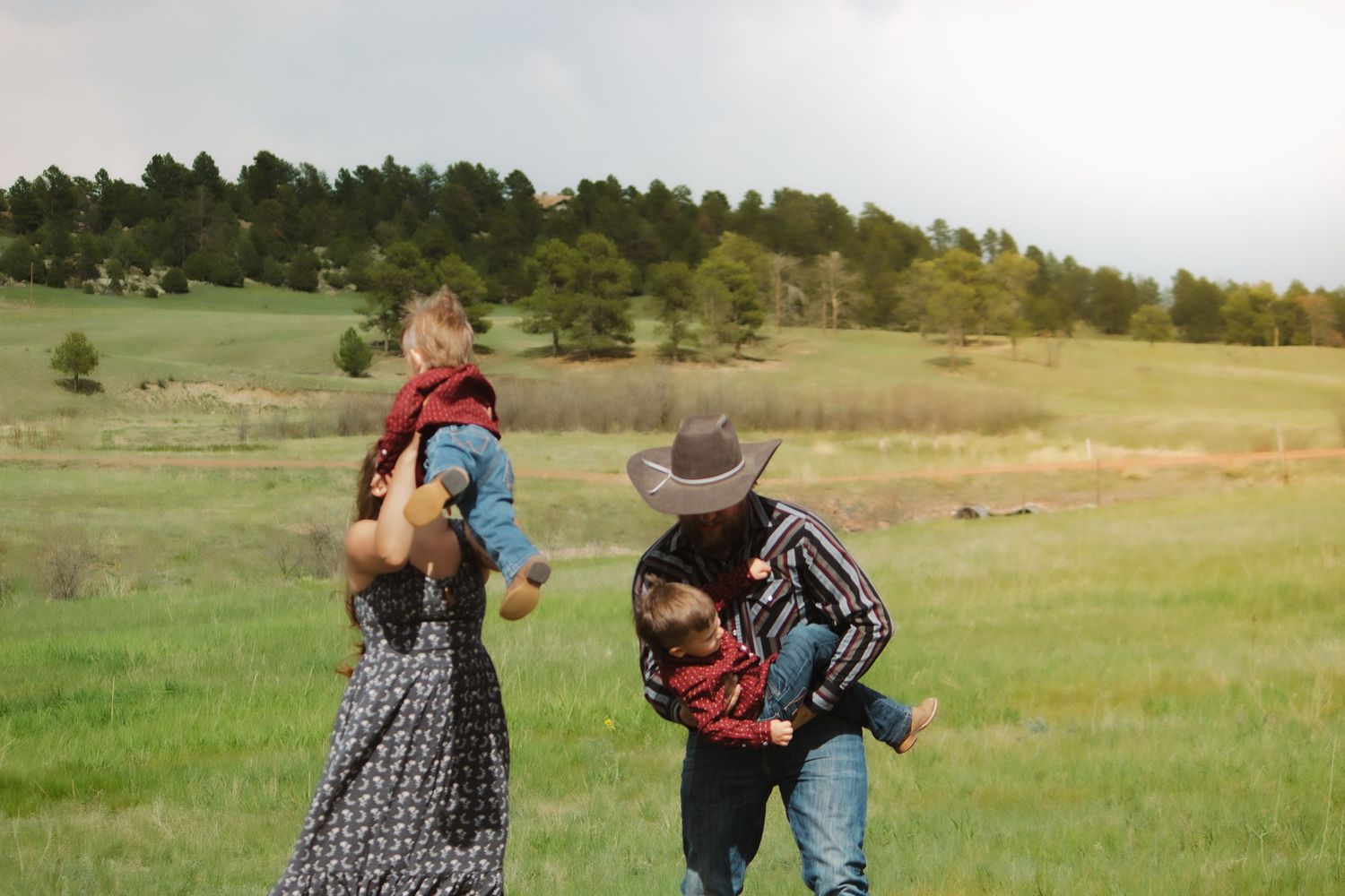Panoramic view of a family walking together across a sunny grassy field.