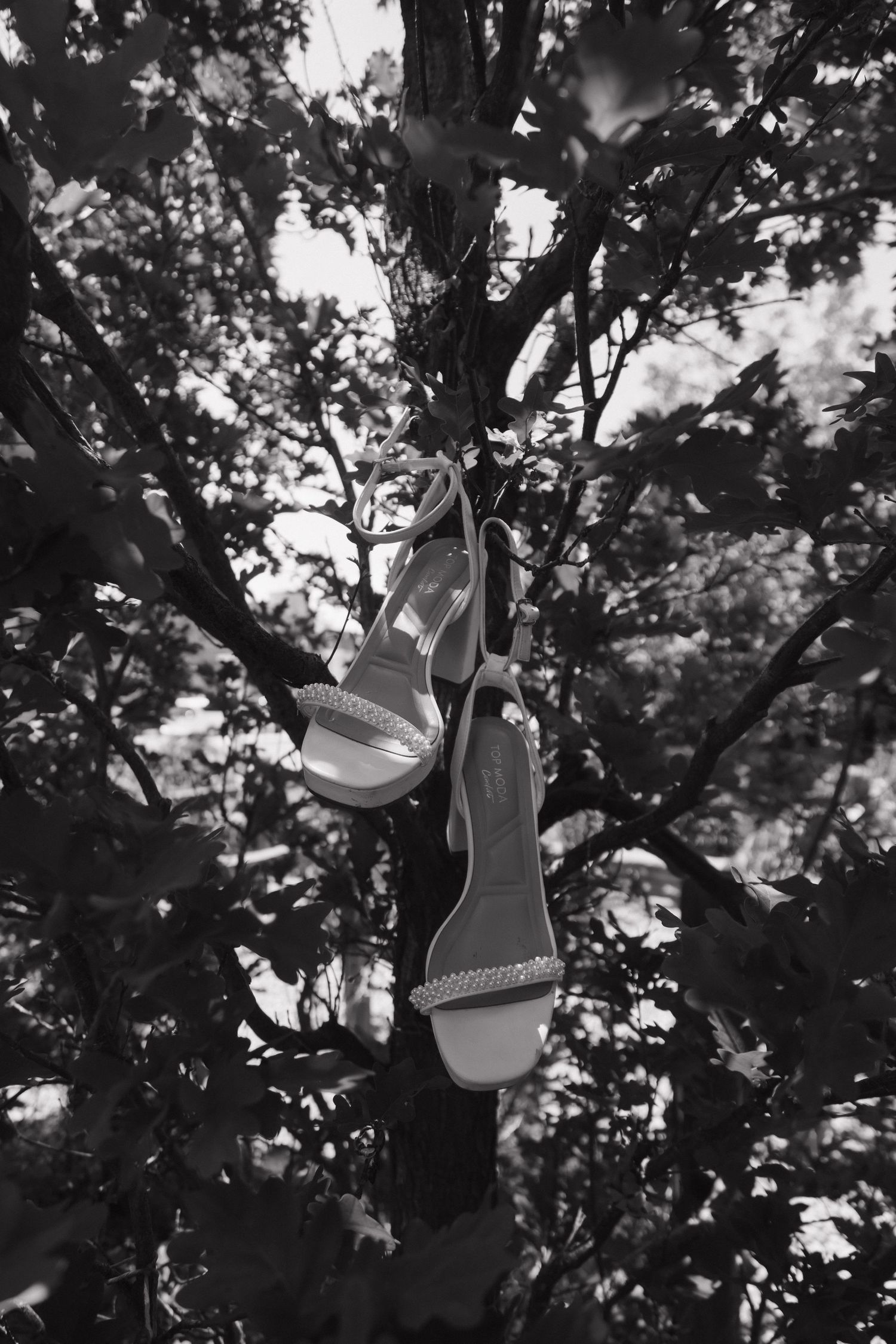 White bridal sandals with pearl embellishments hanging from a tree branch in black and white photography.