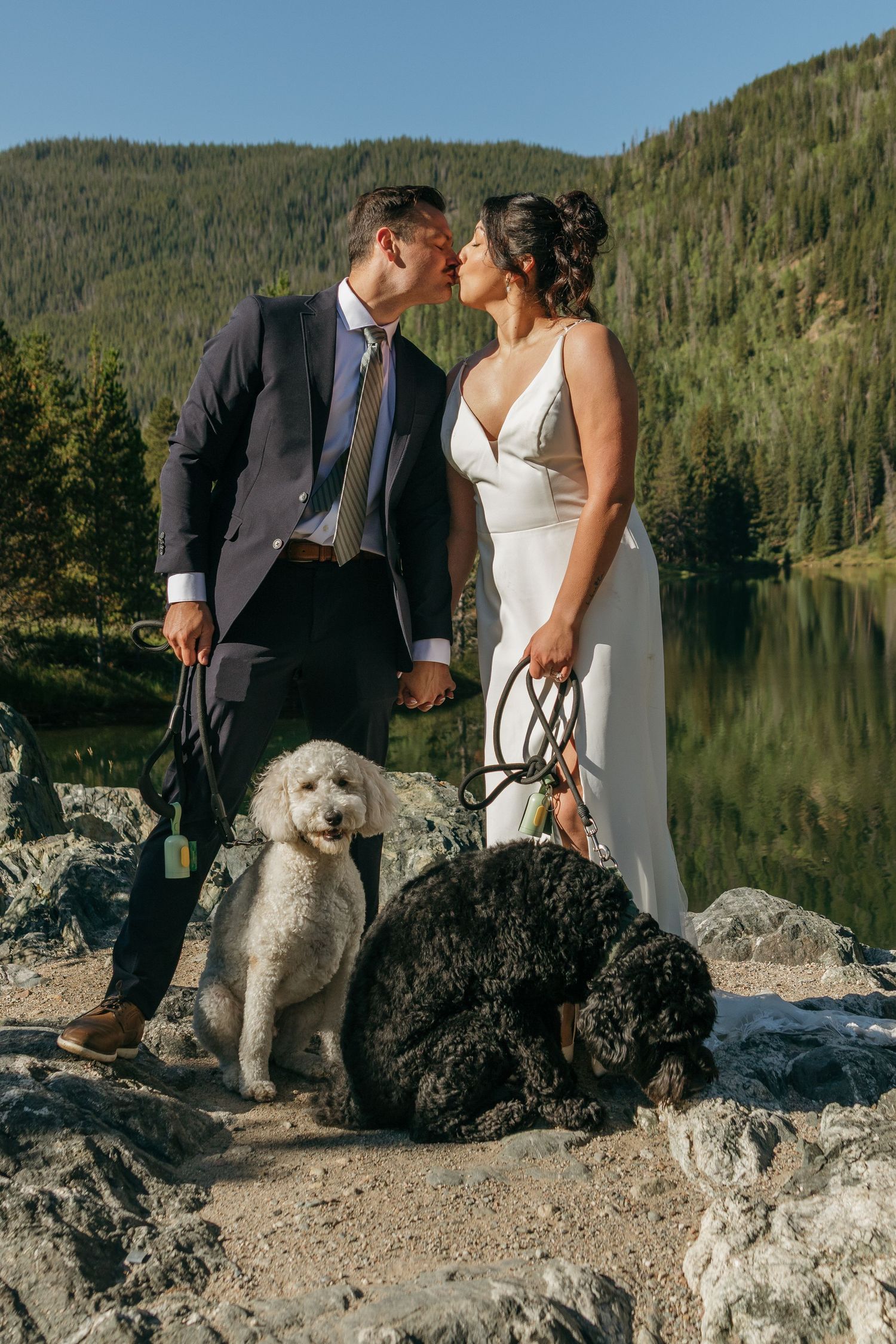 A wedding couple poses with their black and white dogs by a mountain lake on rocky terrain.