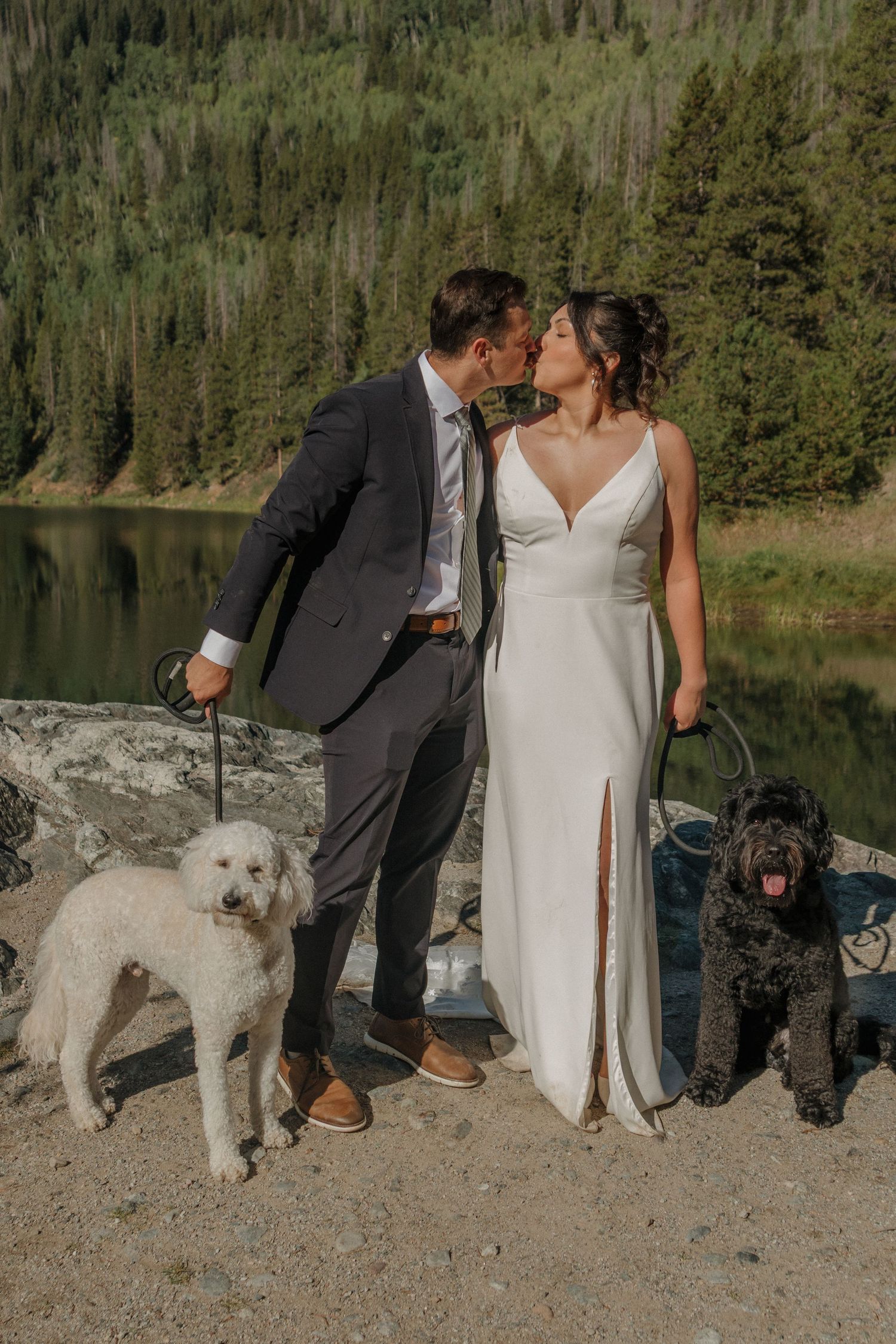 A wedding couple poses with their two dogs on rocky terrain near a mountain lake.
