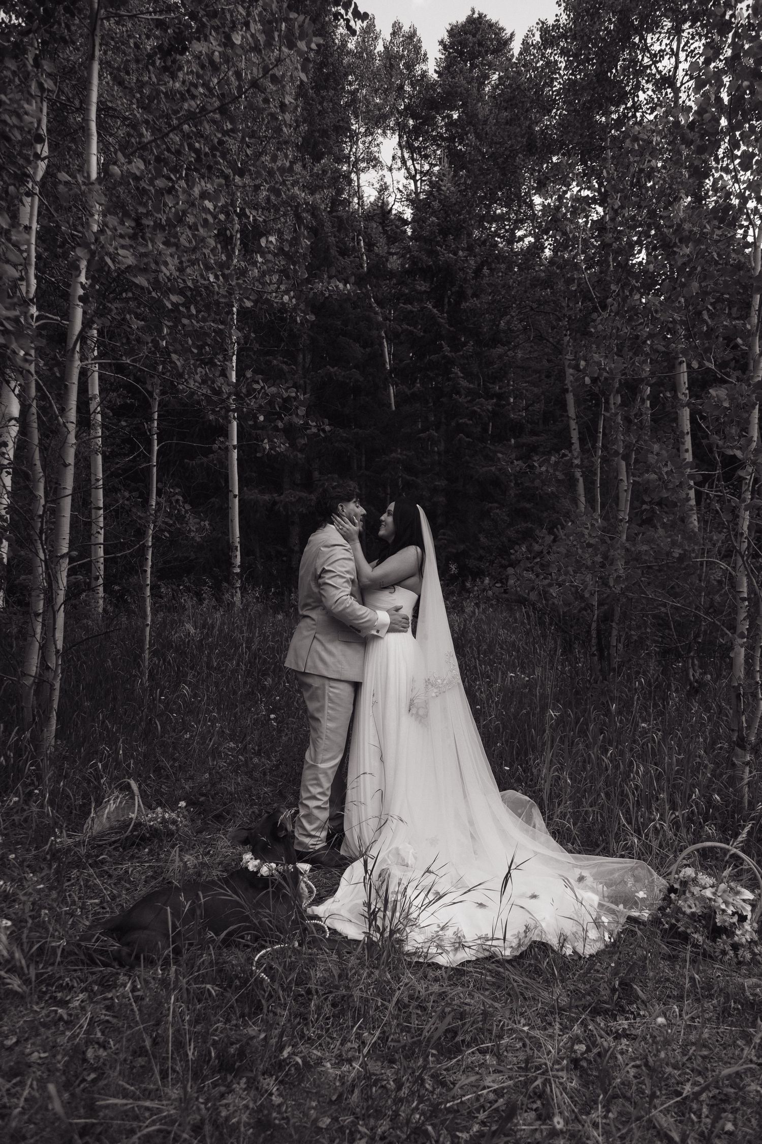 Black and white romantic portrait of bride and groom embracing in a dense aspen forest at their elopement.