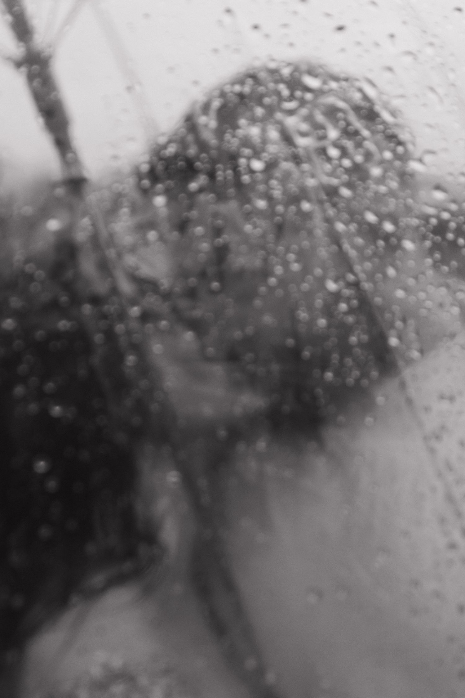 Raindrops on a window pane create a blurry, atmospheric black and white view.