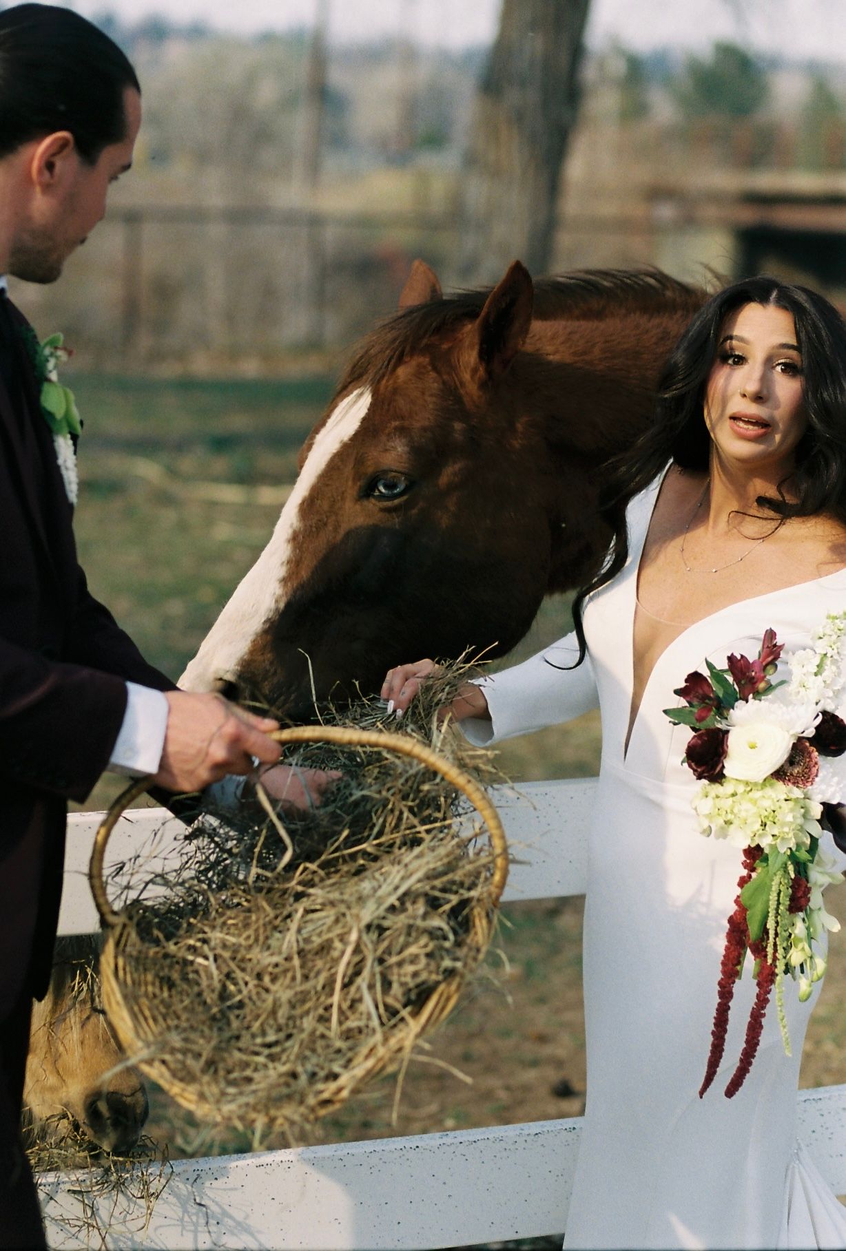Bride and groom feeding hay to a brown horse at a rustic farm wedding venue.