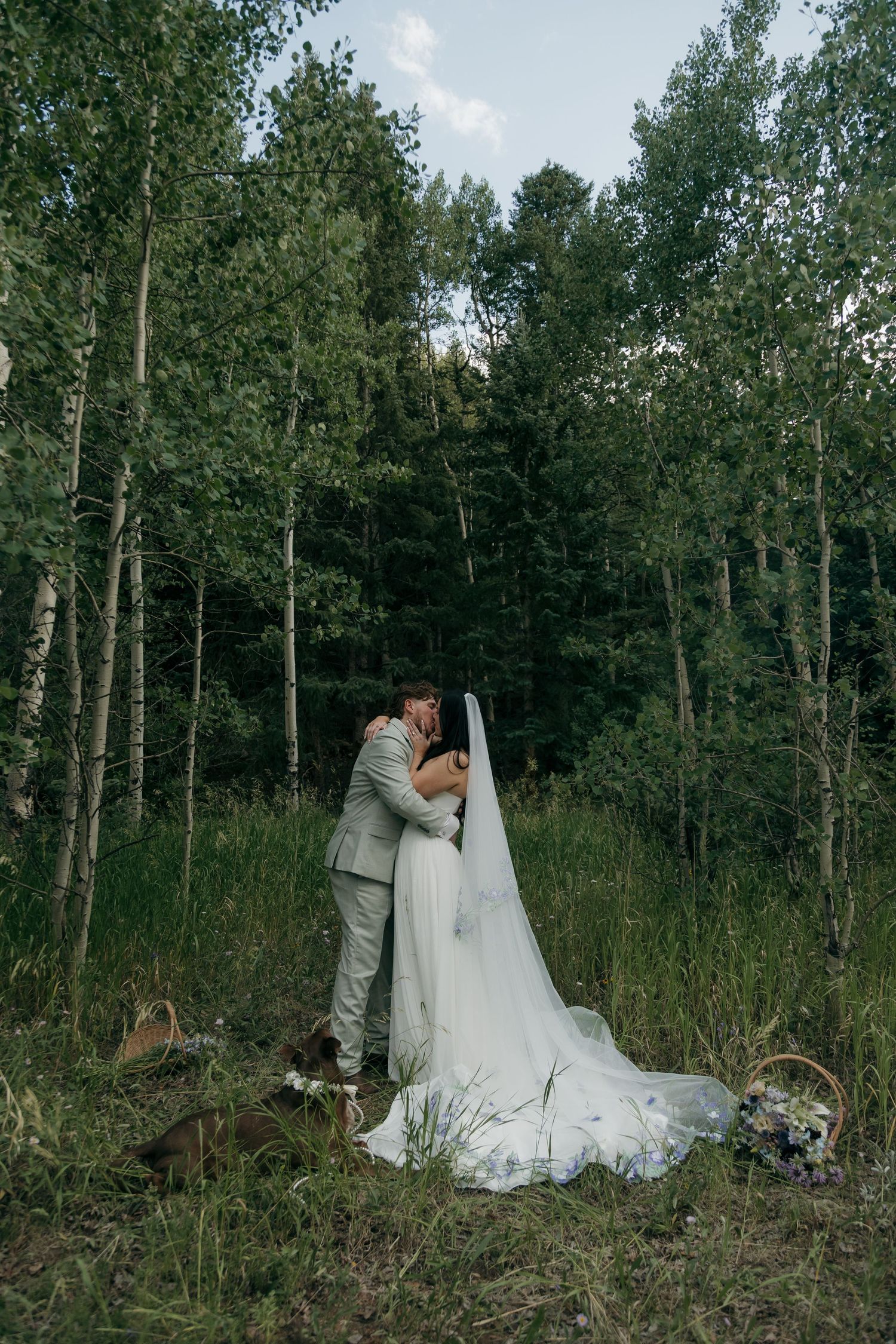 Bride and groom share tender embrace in lush green aspen forest during intimate woodland elopement.