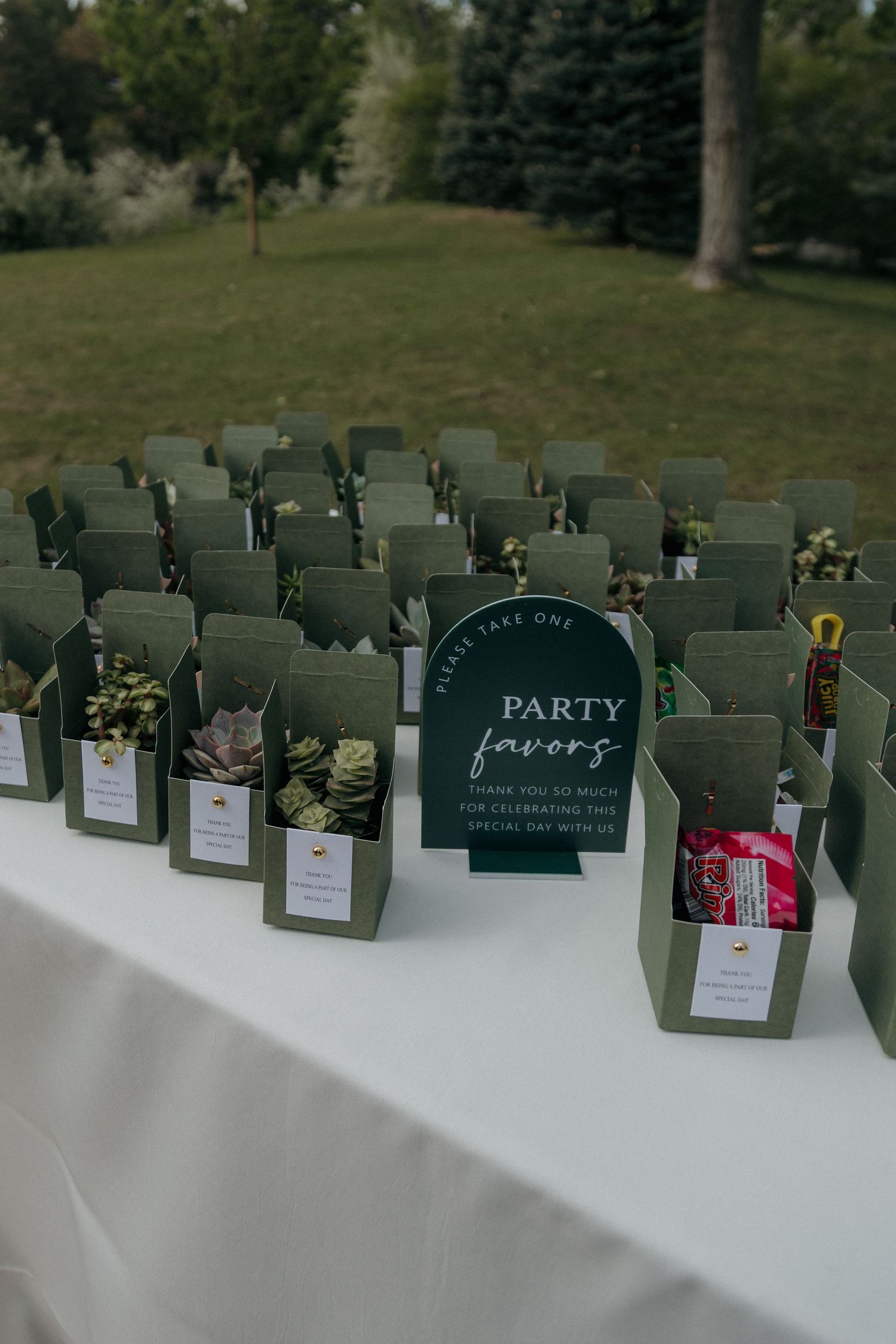 Green party favor boxes with succulents displayed on a white tablecloth table at an outdoor wedding reception.