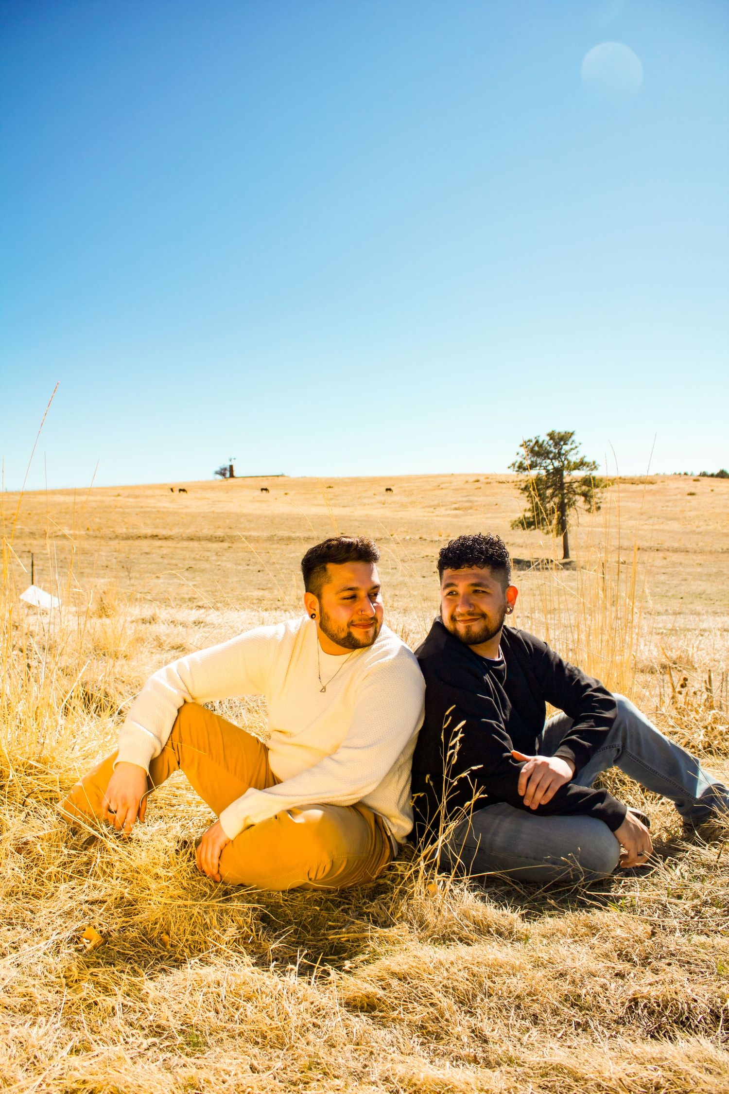 Two people sitting close together on golden hillside with lone tree in background.