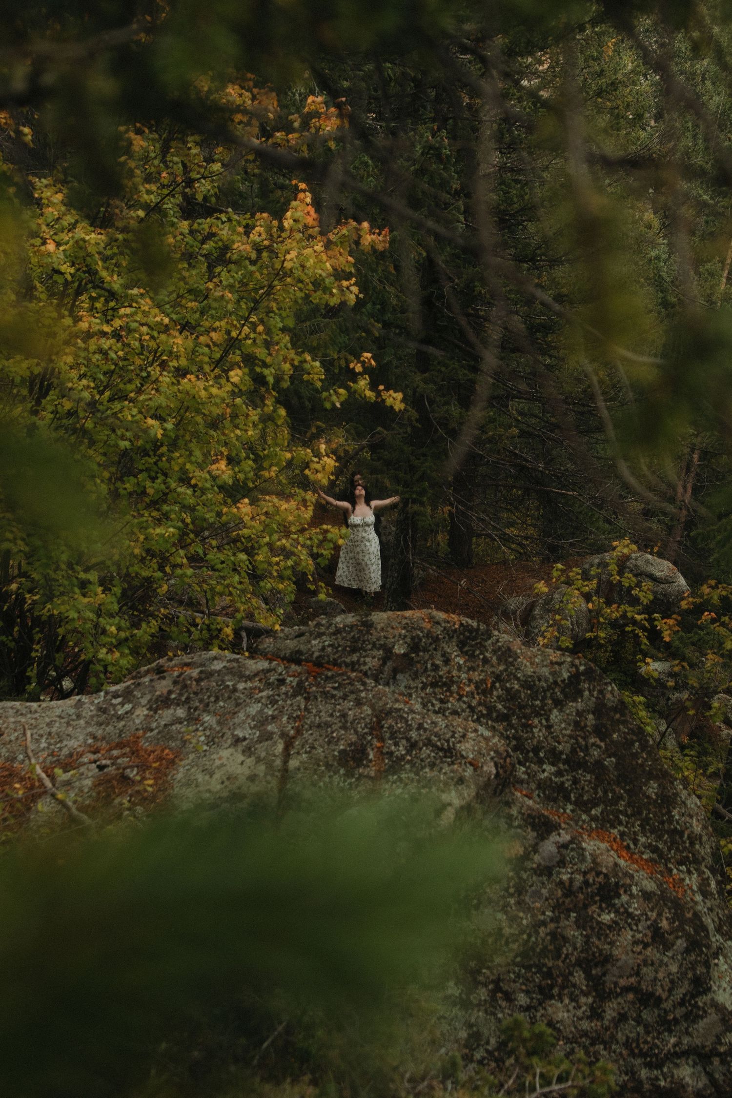 Person standing triumphantly on rocky outcrop surrounded by vibrant autumn foliage in mountain forest.