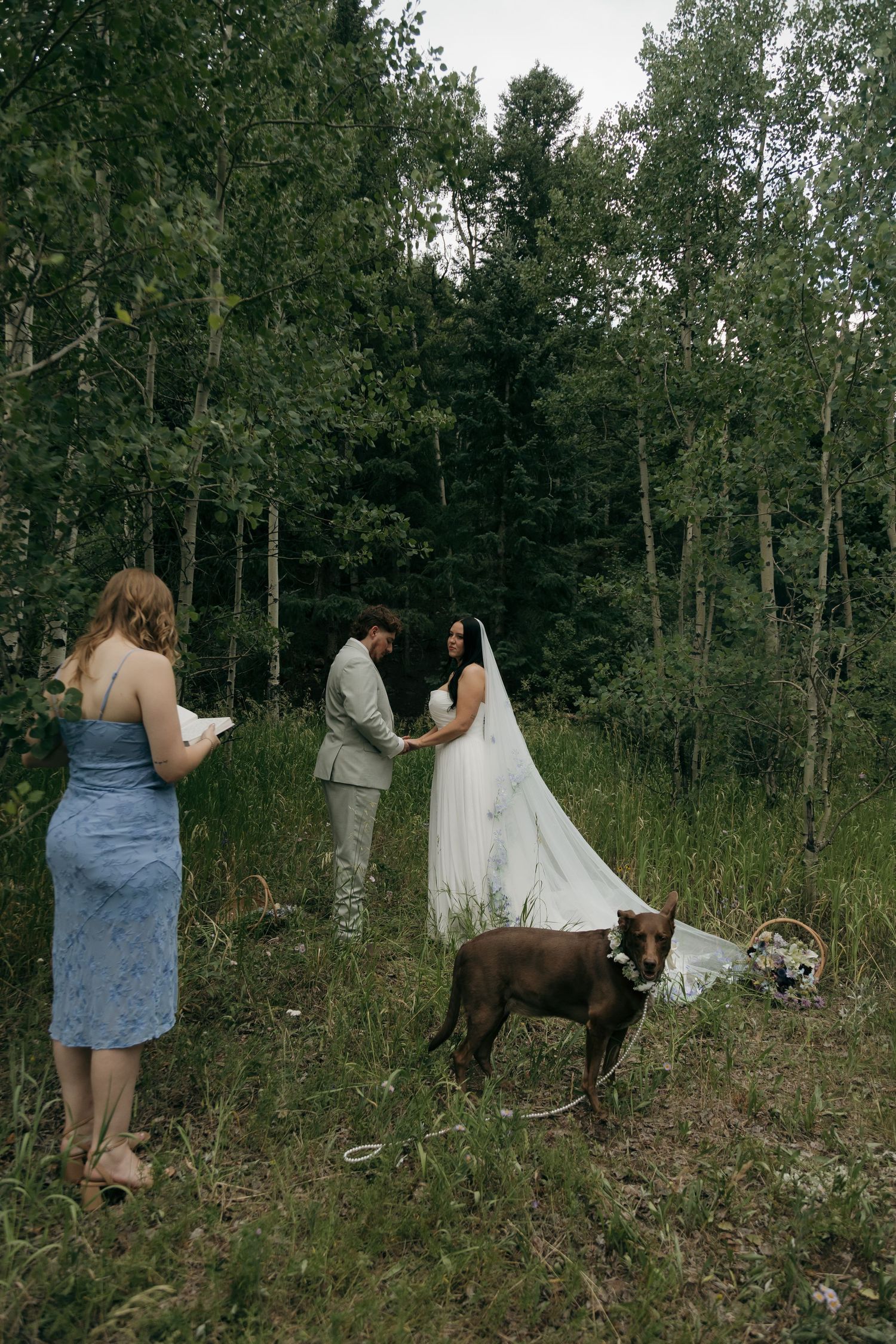 Bride and groom exchange vows in a lush forest clearing with a brown dog and officiant nearby.