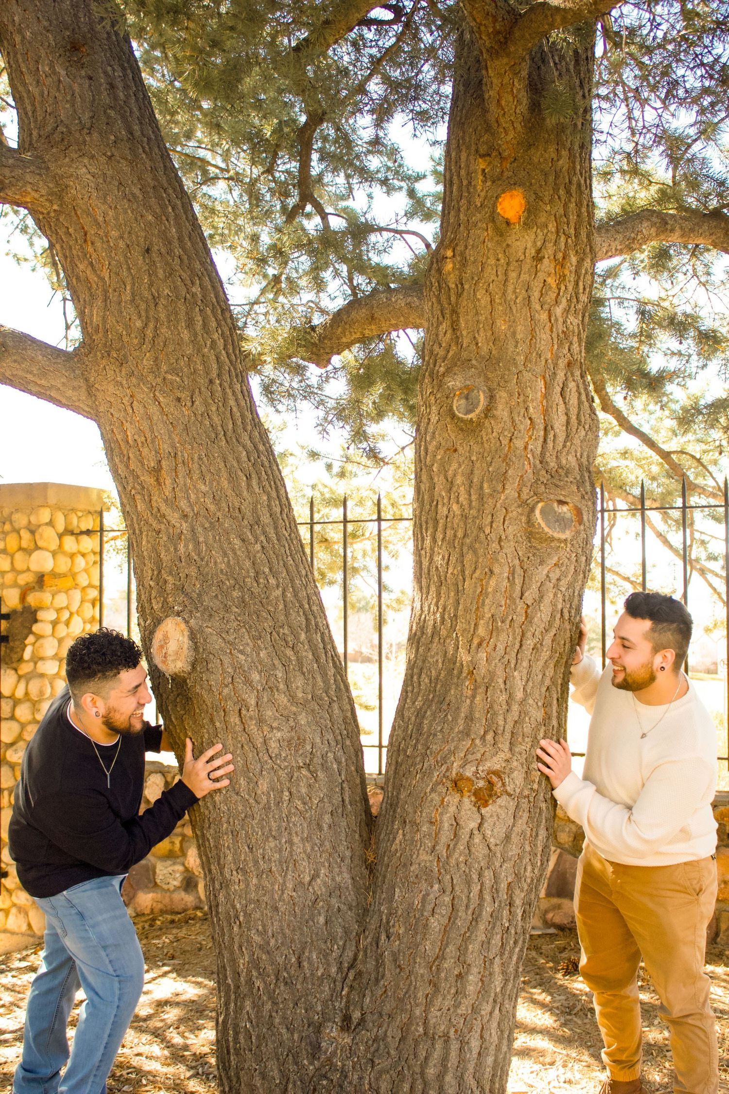 Two people engaging in playful interaction around a large tree in warm sunlight.
