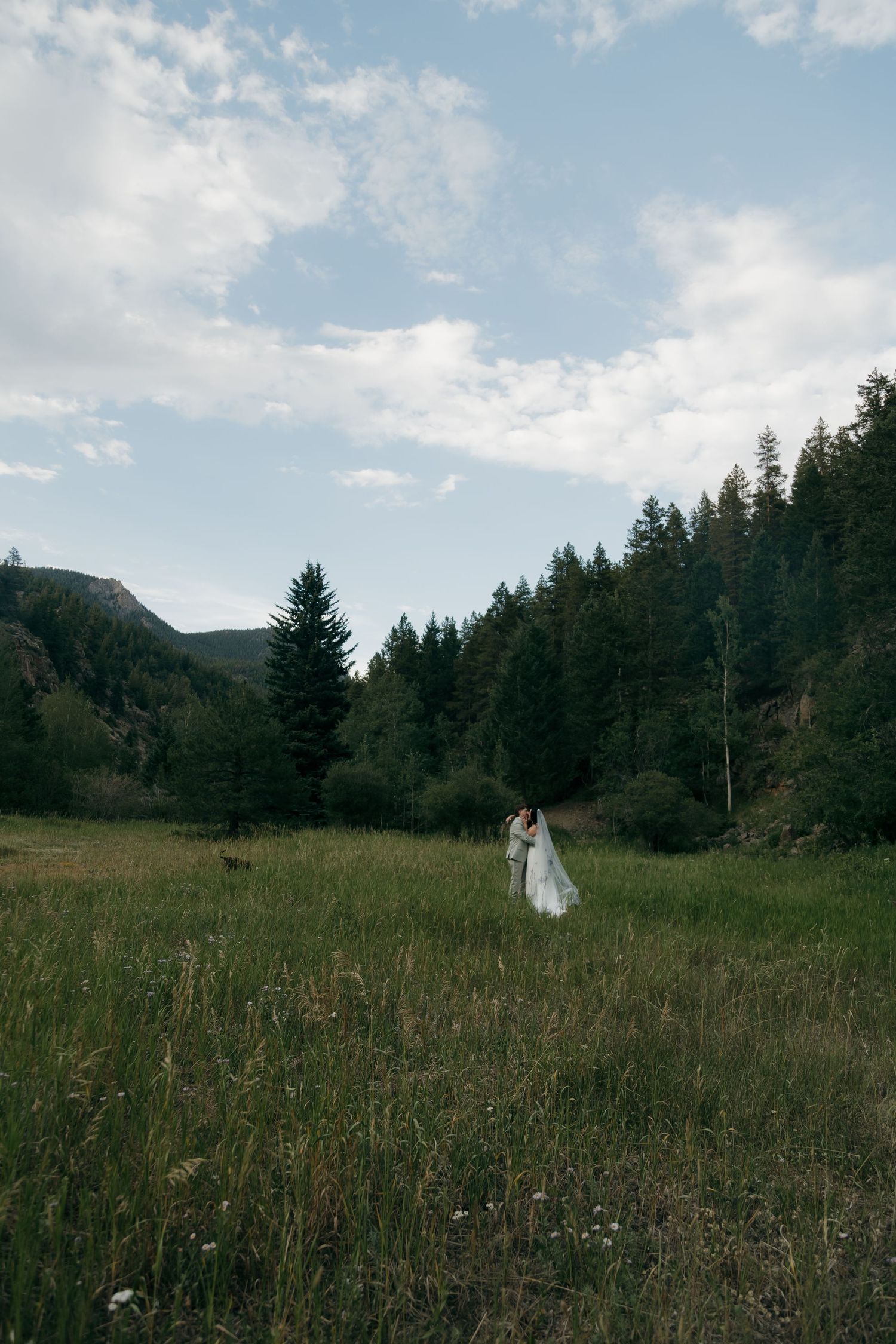Bride and groom embrace in a lush green mountain meadow surrounded by tall evergreen trees under a partly cloudy sky.
