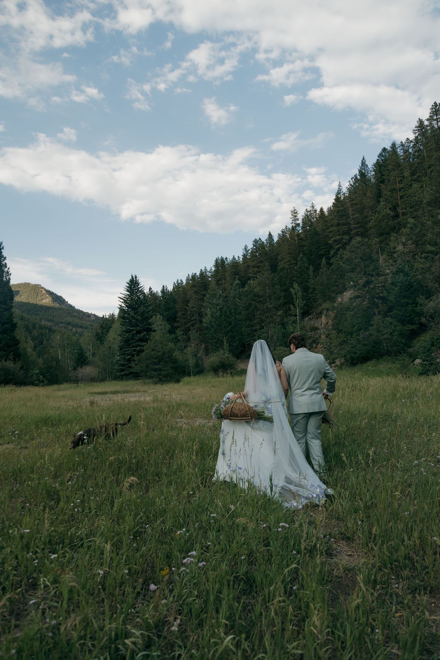 Bride in white gown with veil and groom in sage suit walk through a scenic mountain meadow surrounded by evergreen trees.