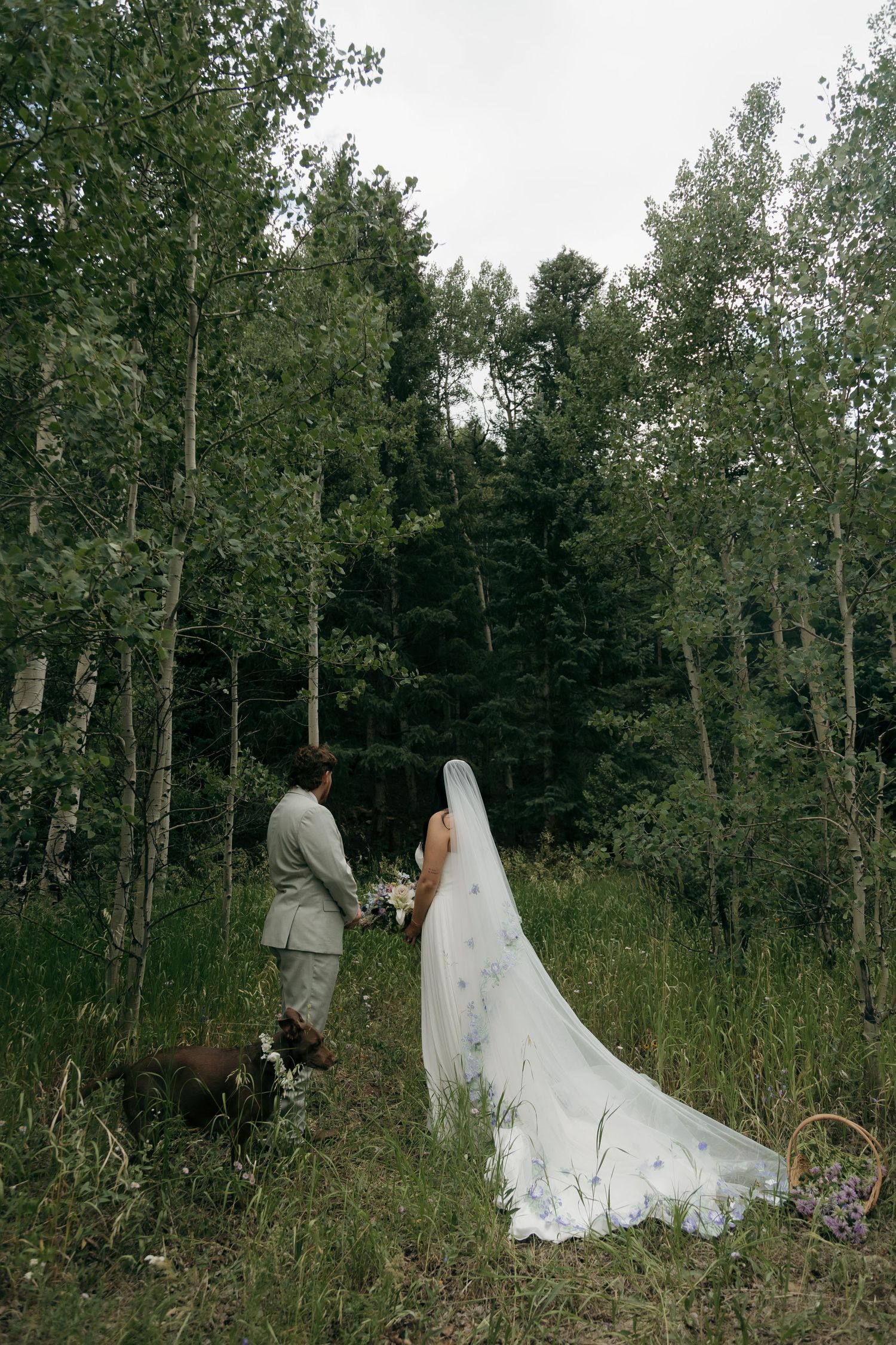 Bride and groom walk hand-in-hand through a lush forest, her long veil trailing behind on the green grass.